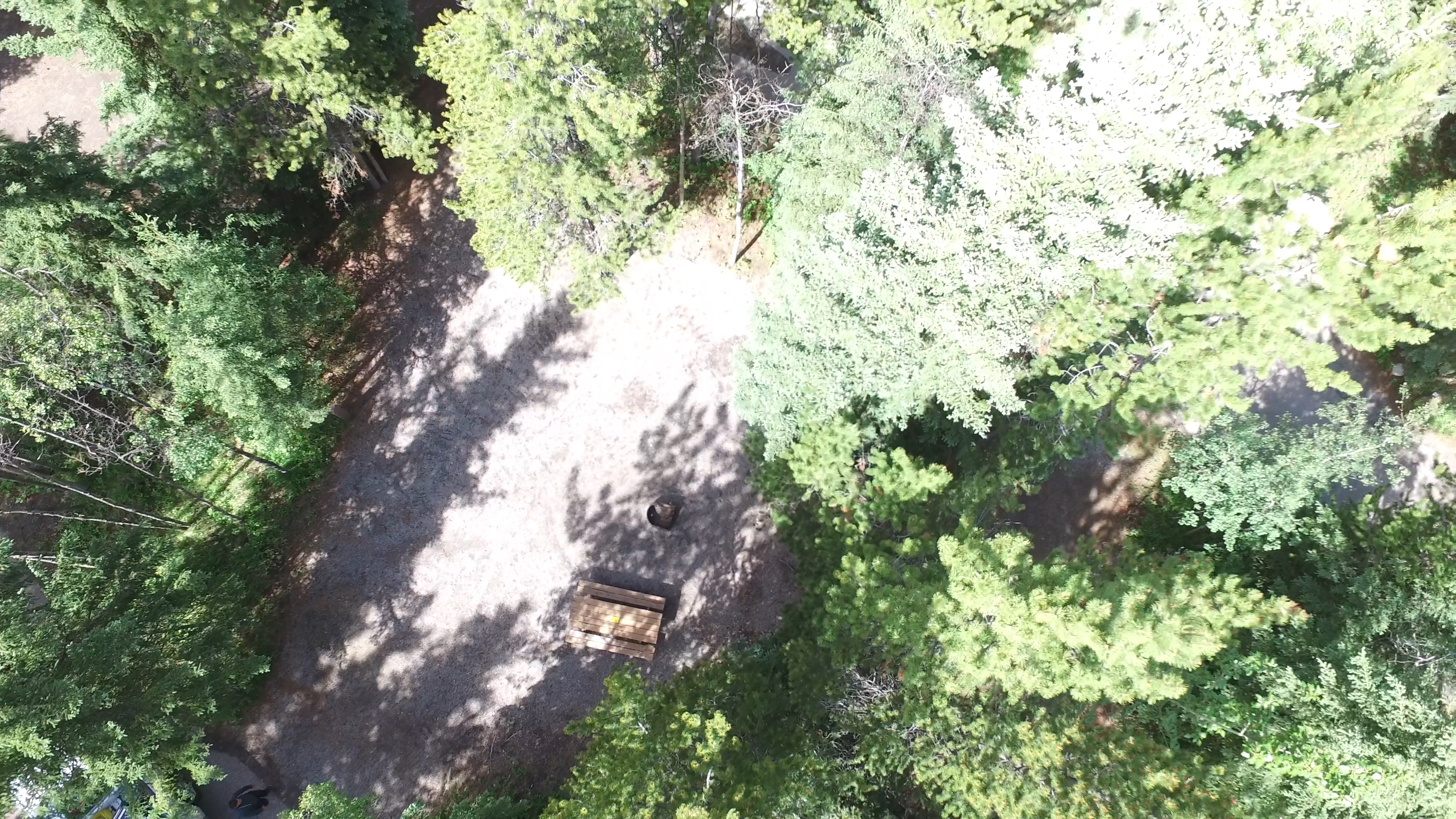 Campsite 14 in Loop D