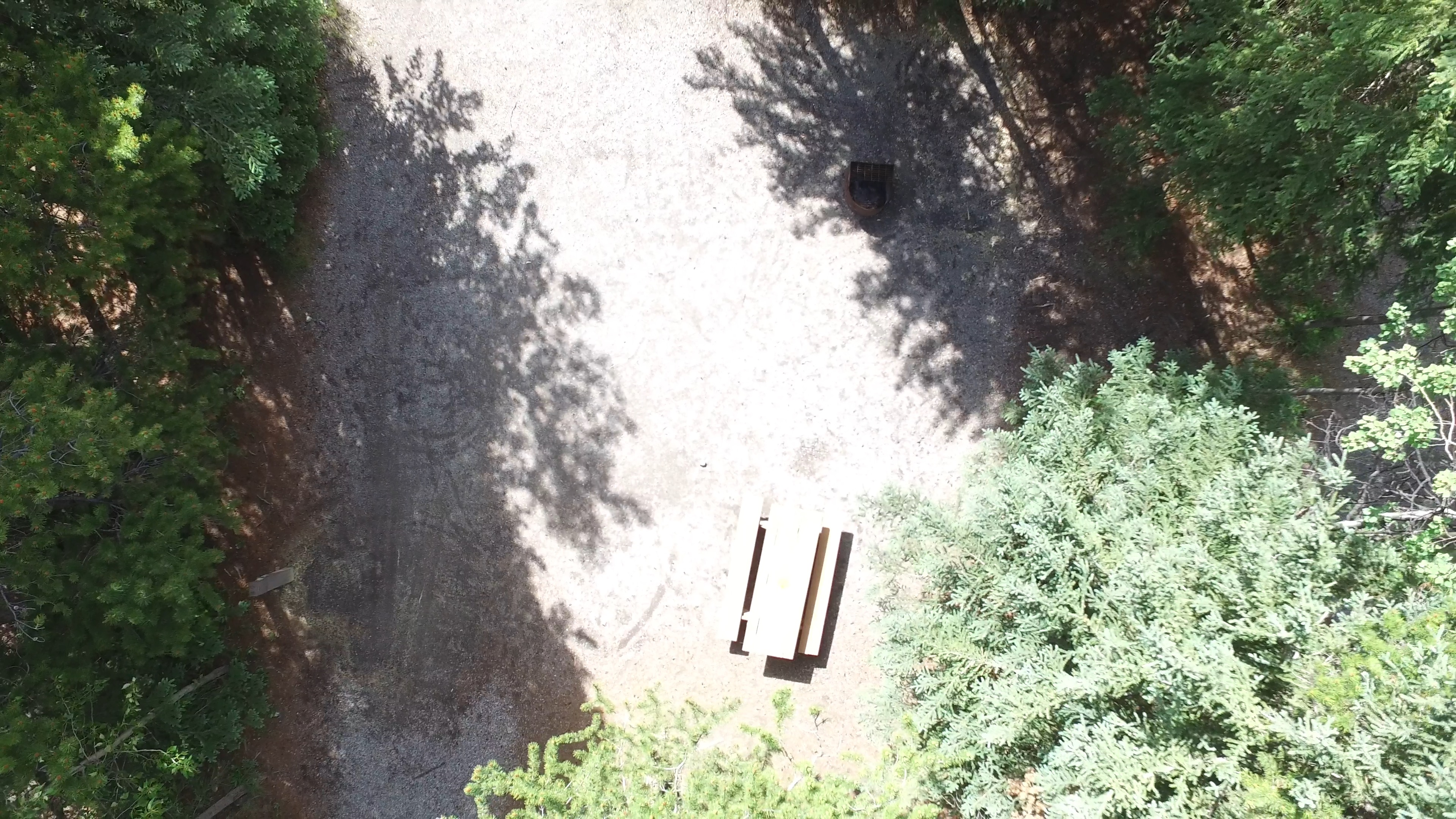 Campsite 15 in Loop D