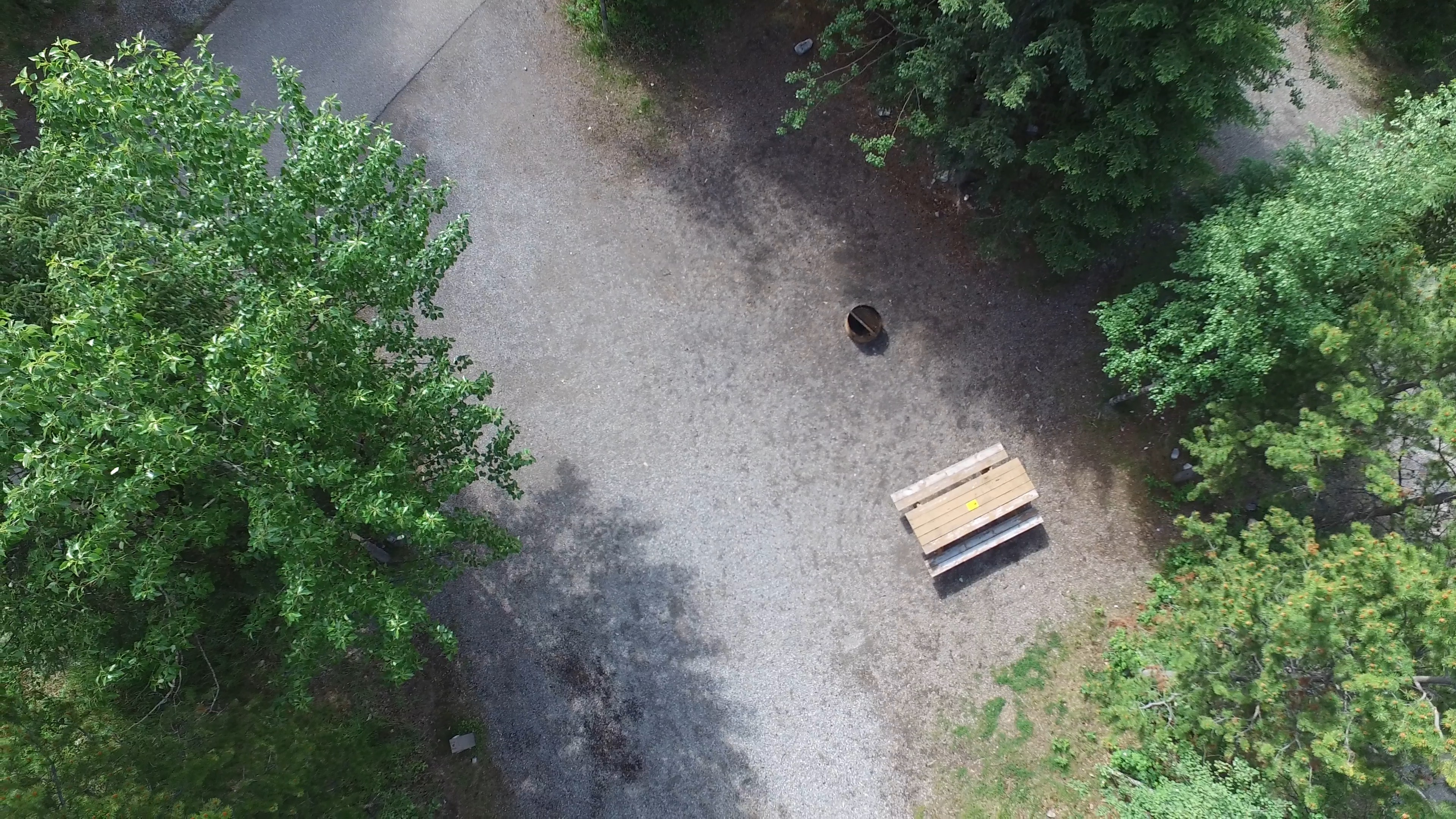 Campsite 19 in Loop D