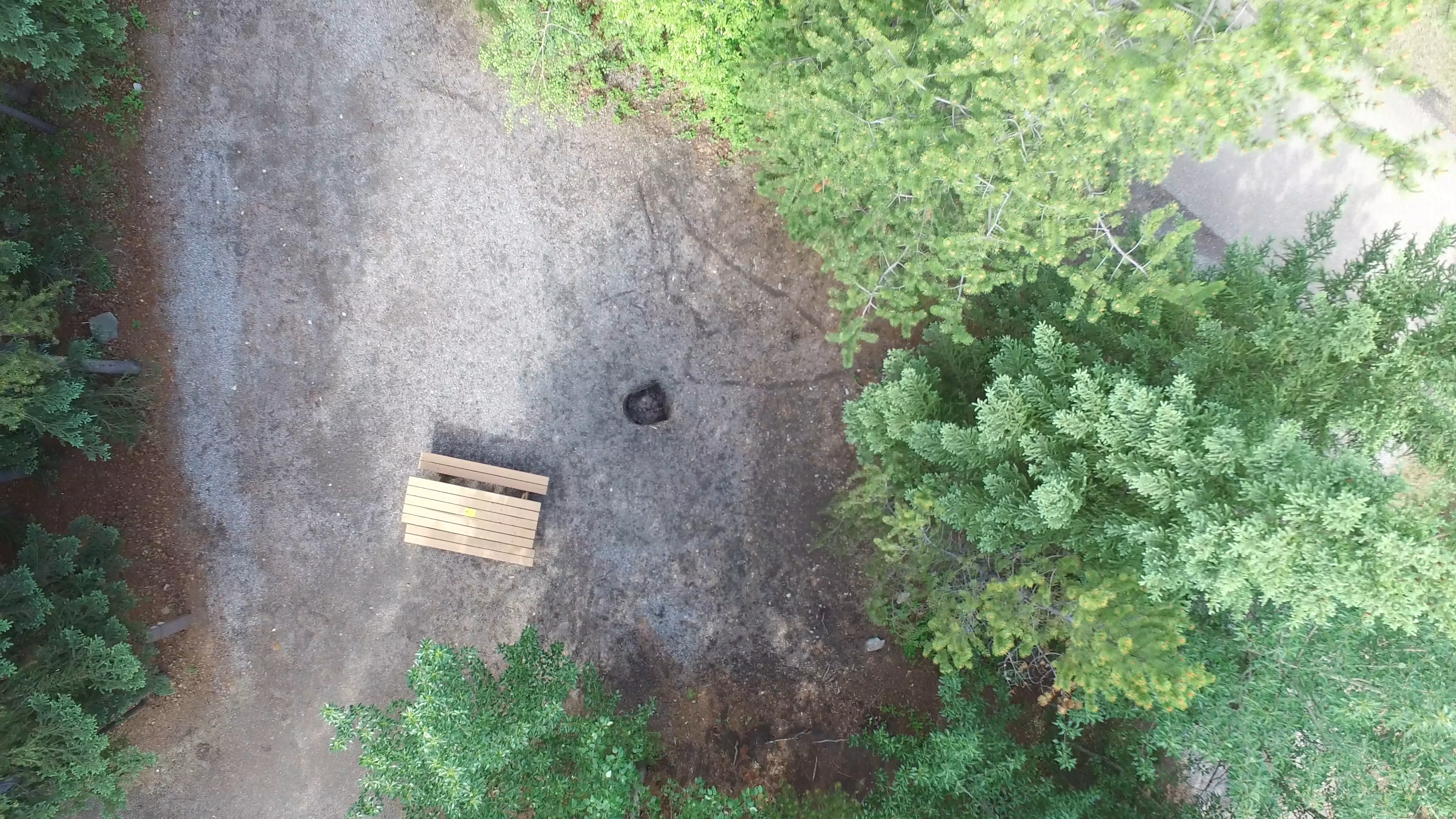 Campsite 2 in Loop D