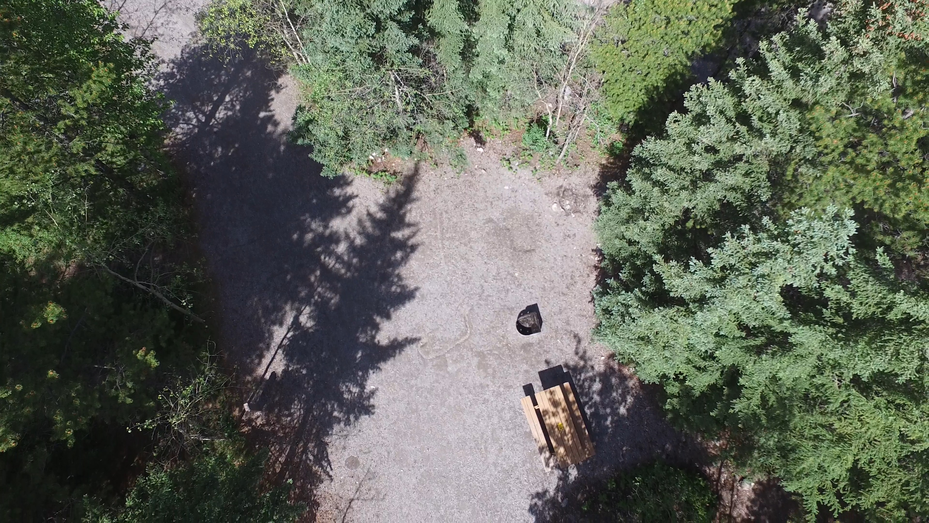 Campsite 20 in Loop D