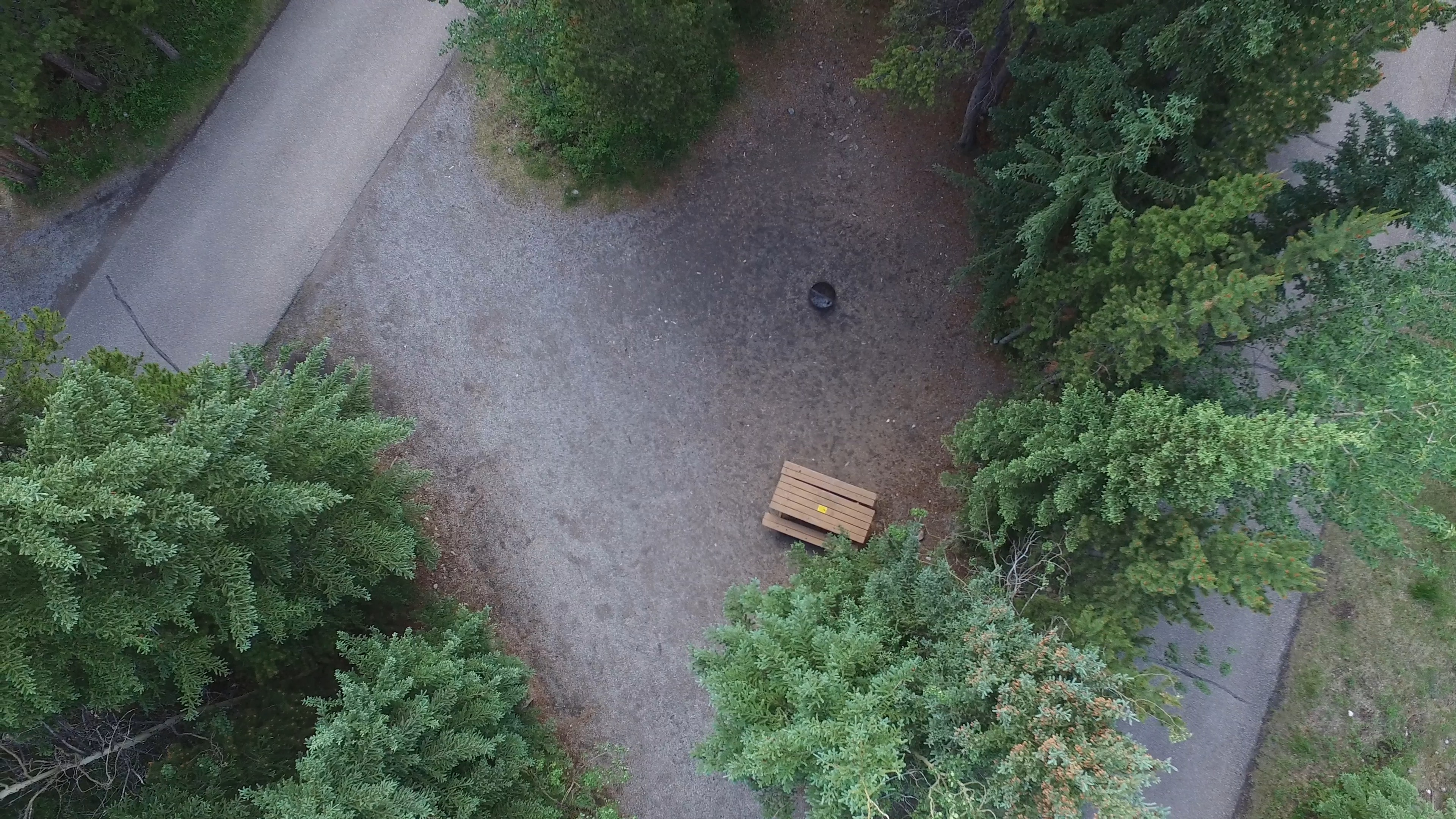 Campsite 21 in Loop D