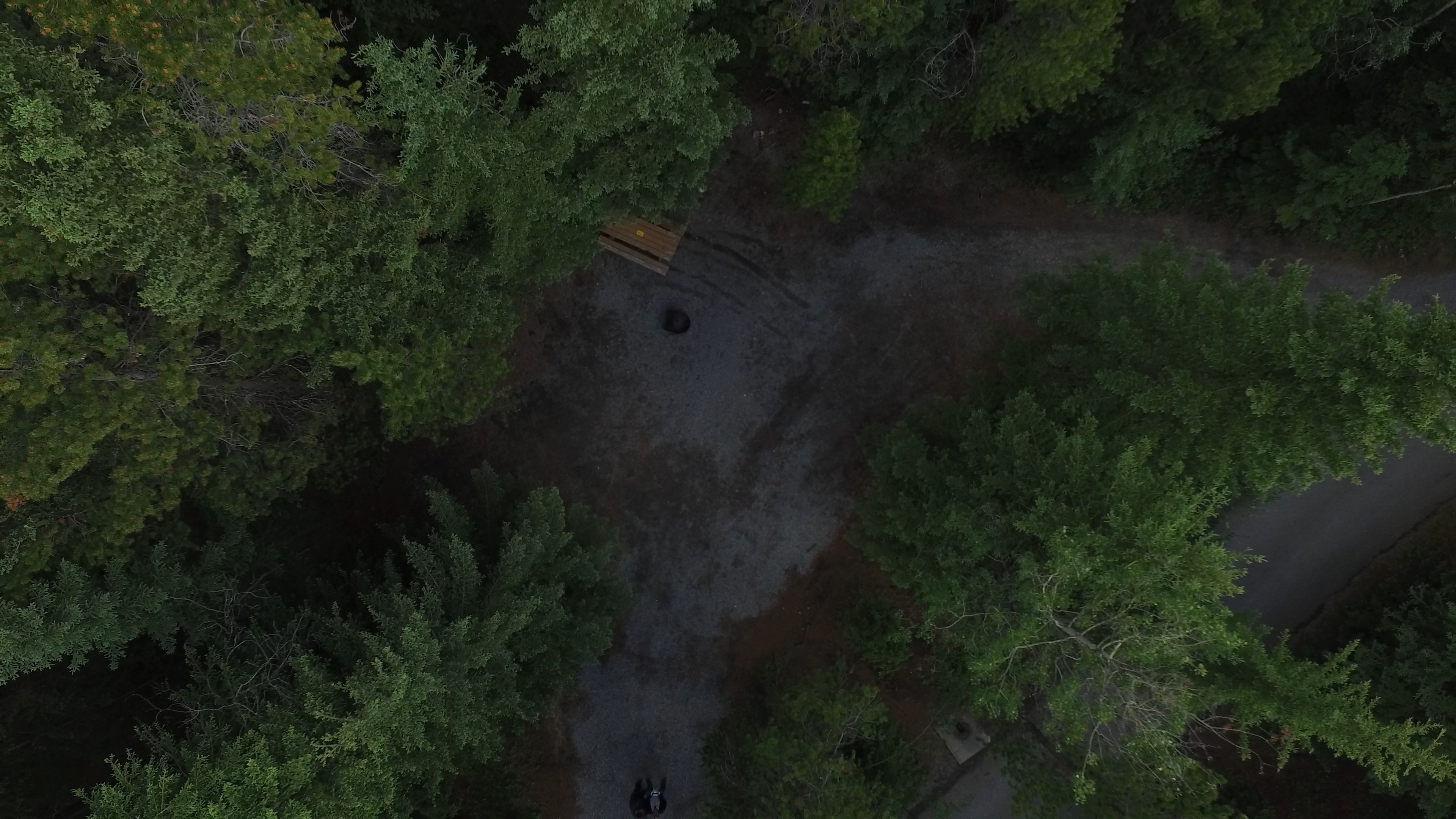 Campsite 24 in Loop D