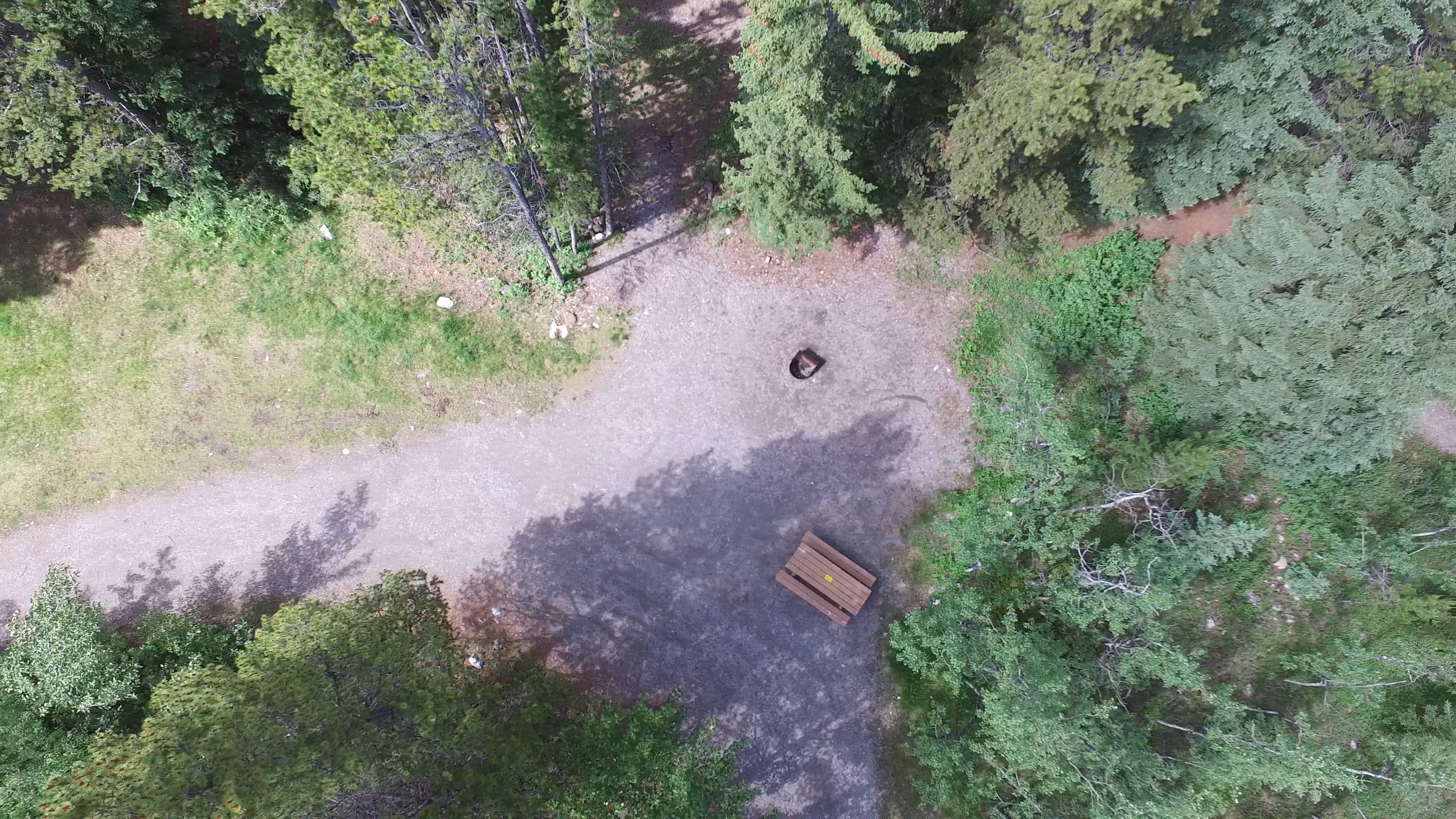 Campsite 26 in Loop D