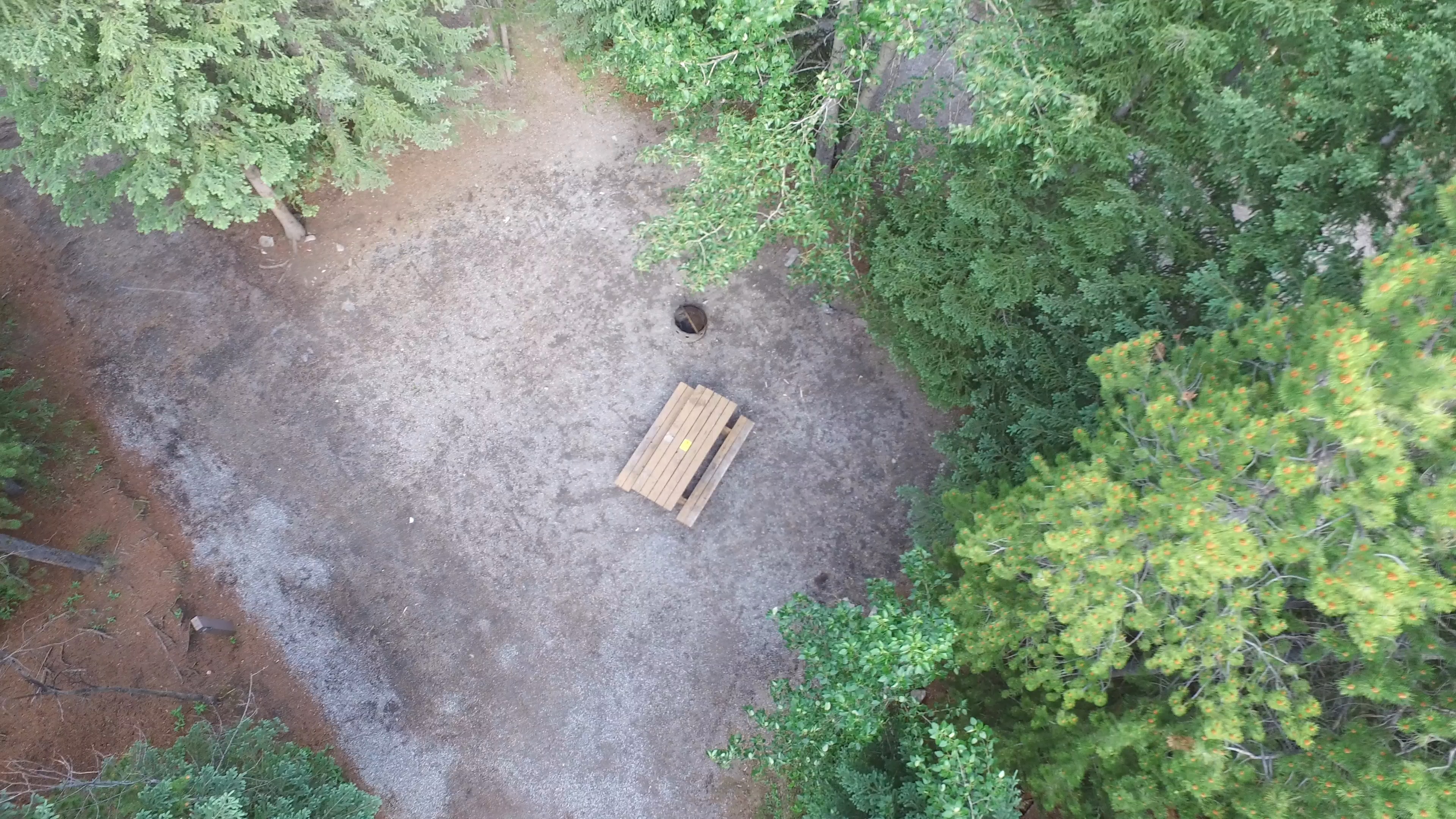 Campsite 4 in Loop D