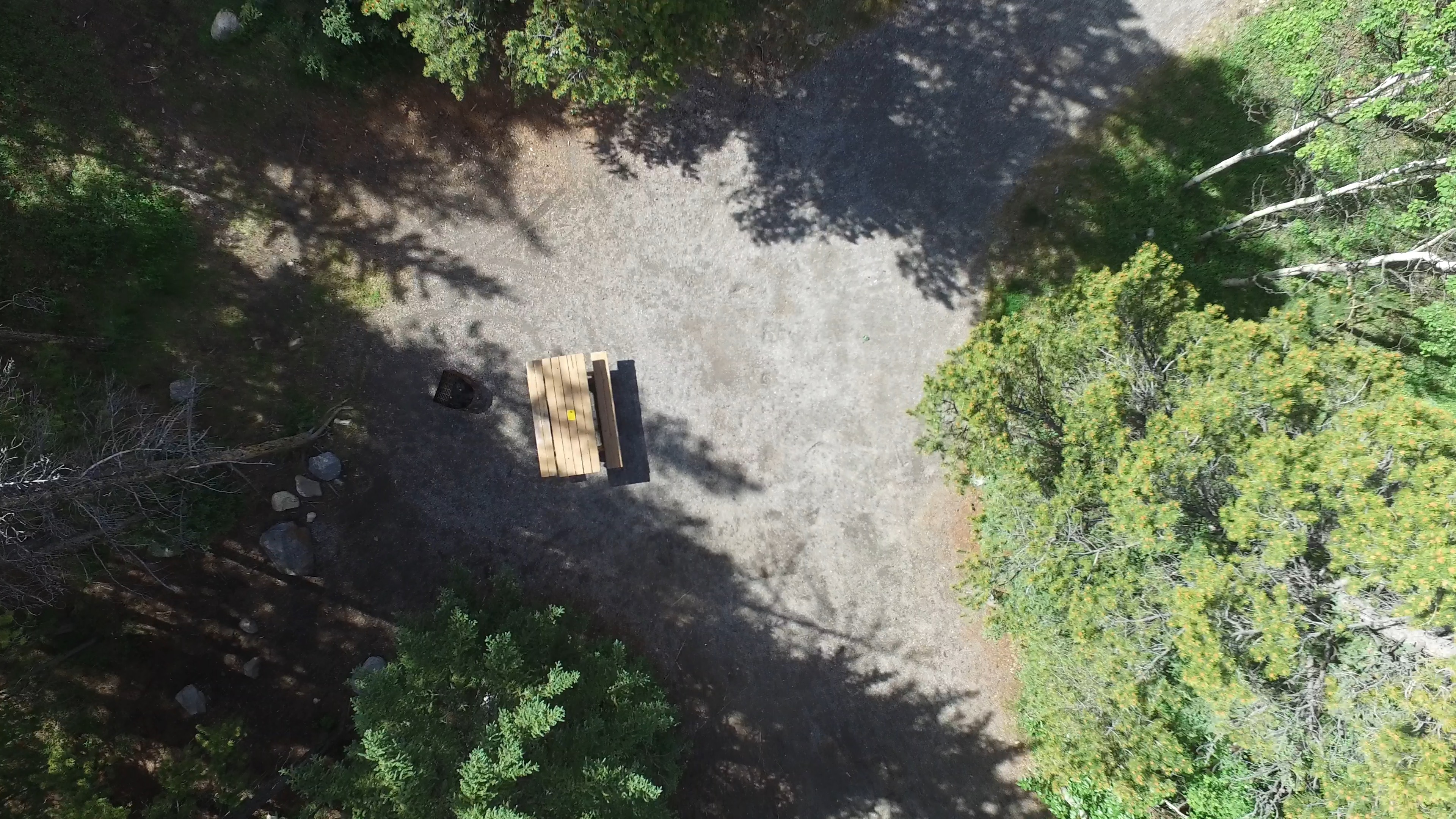 Campsite 6 in Loop D