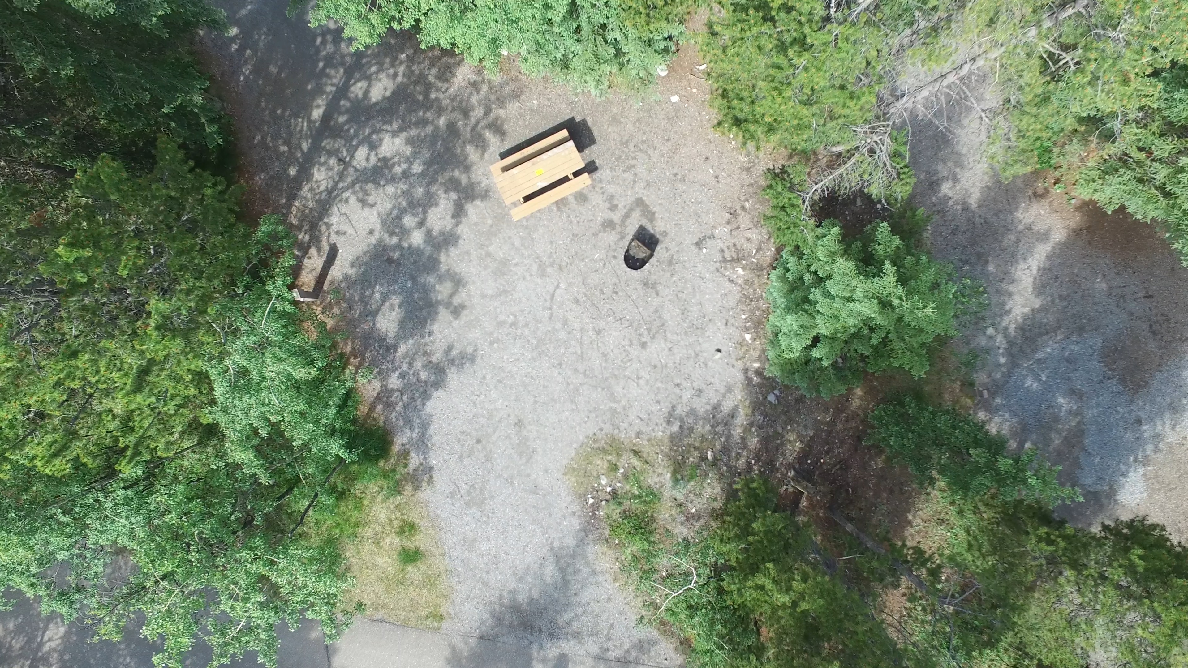 Campsite 8 in Loop D