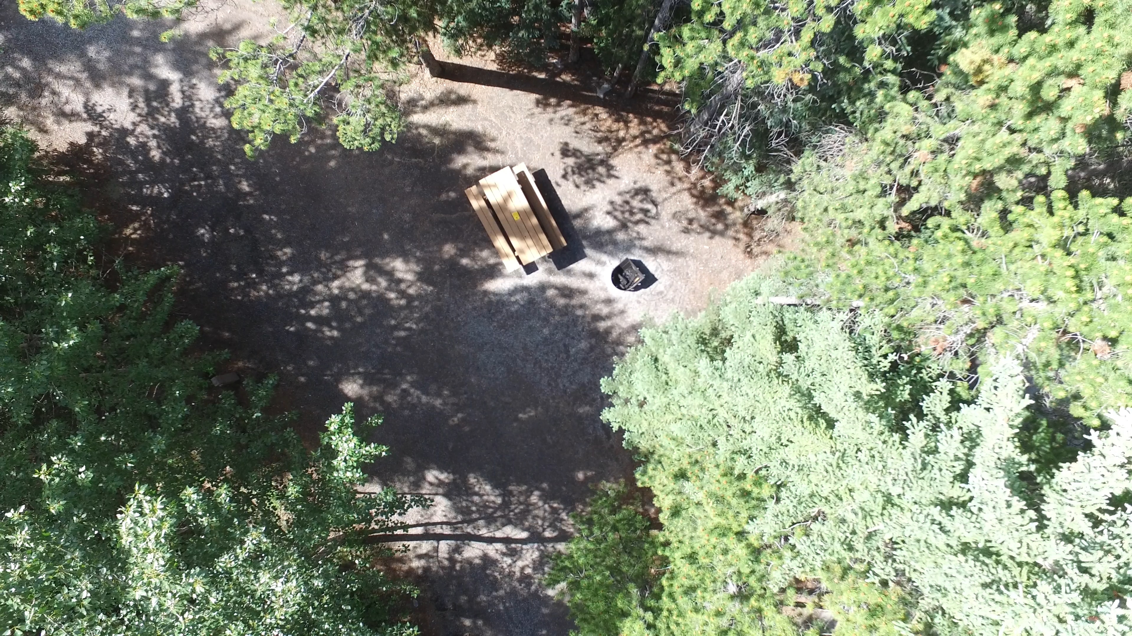 Campsite 9 in Loop D