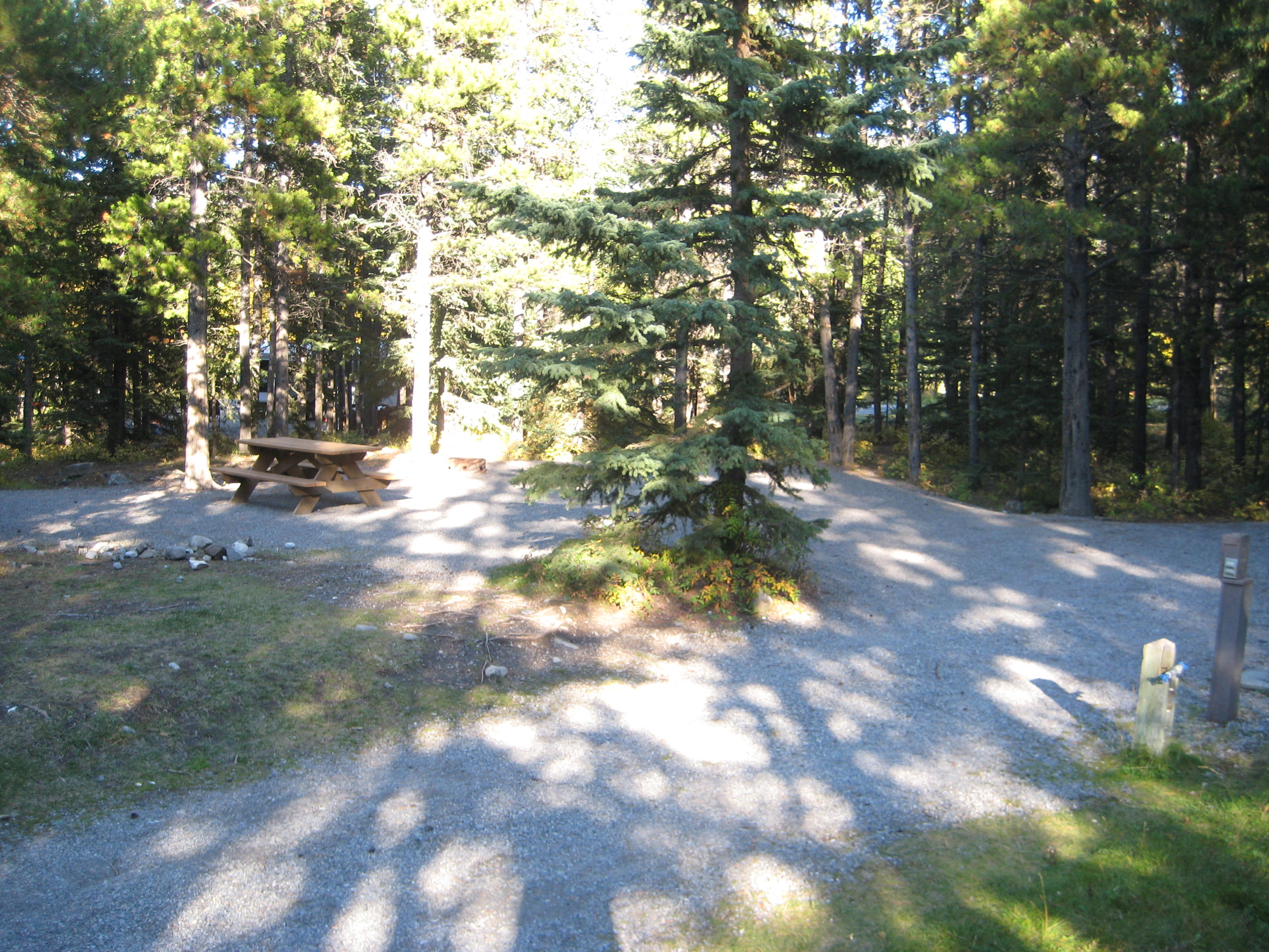 Campsite 1 in Loop E