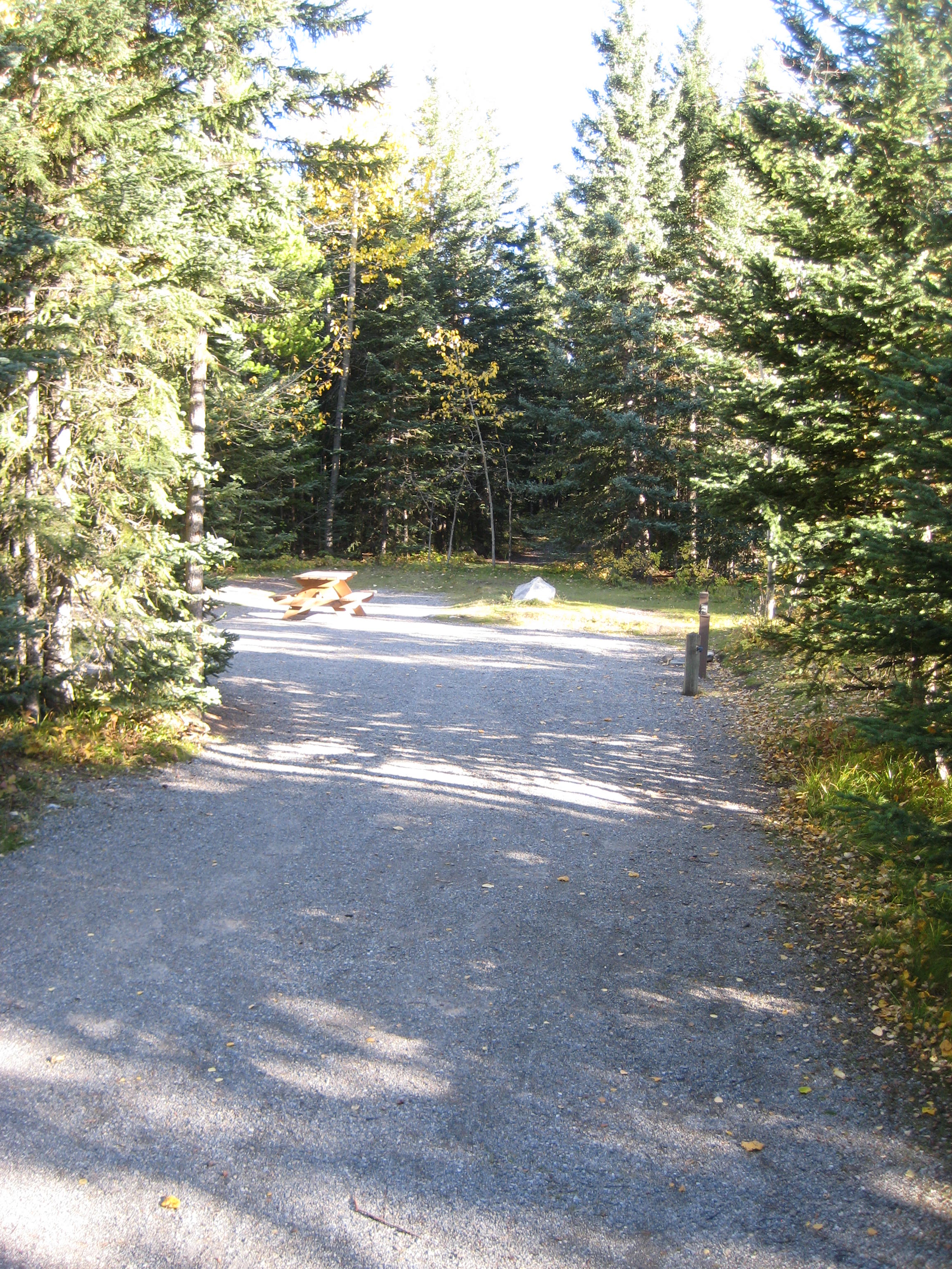 Campsite 10 in Loop E