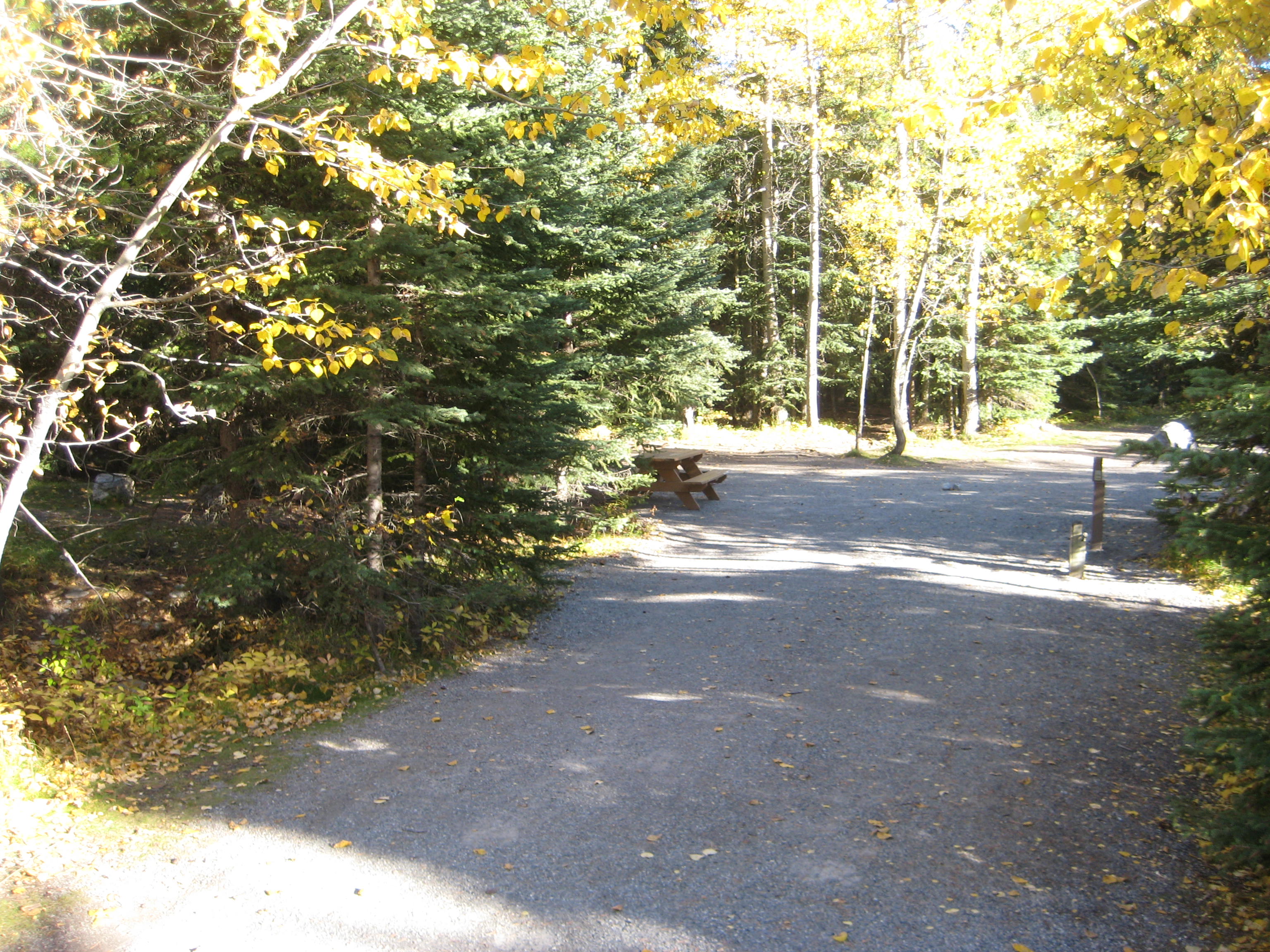 Campsite 11 in Loop E