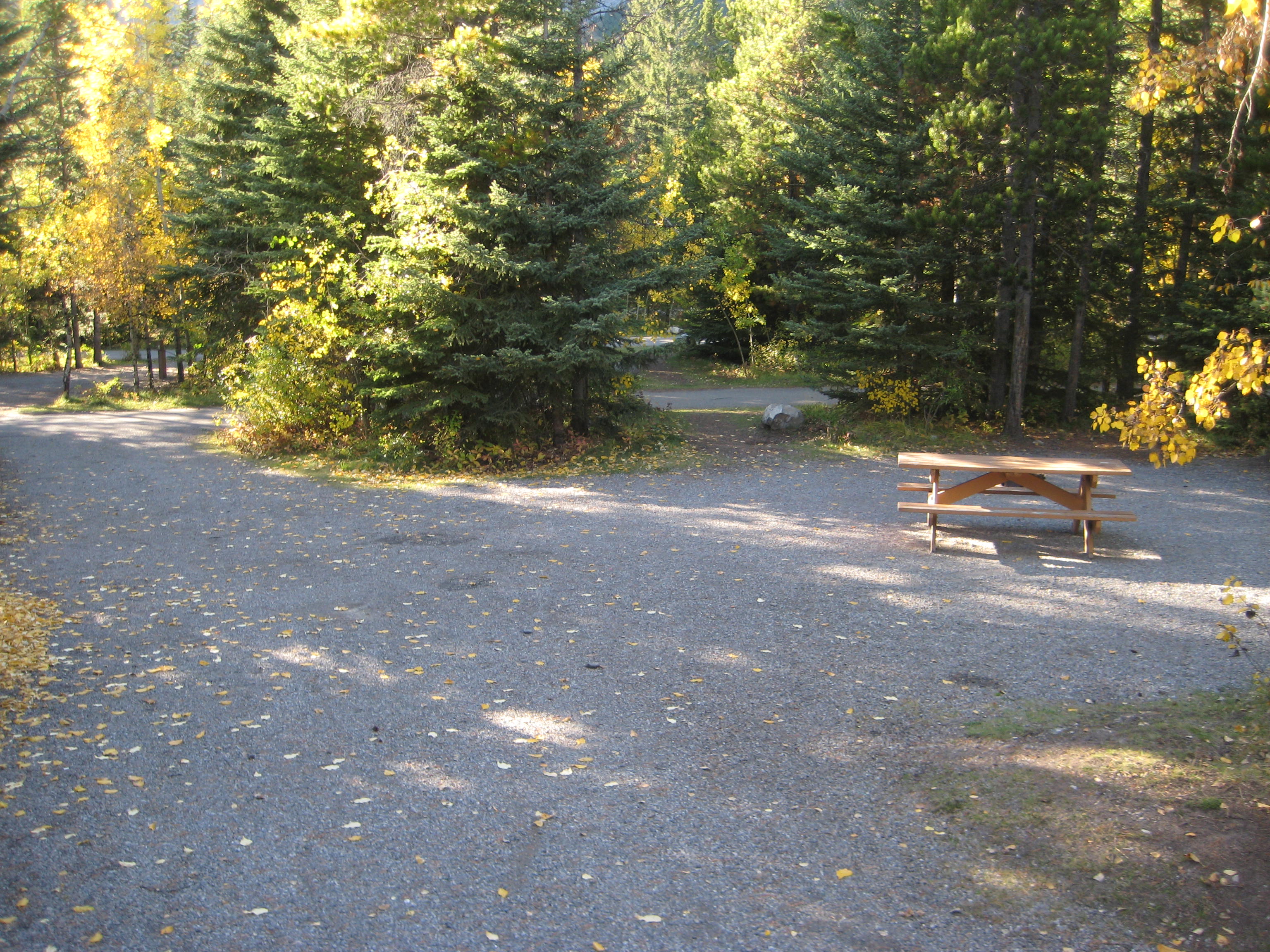 Campsite 12 in Loop E