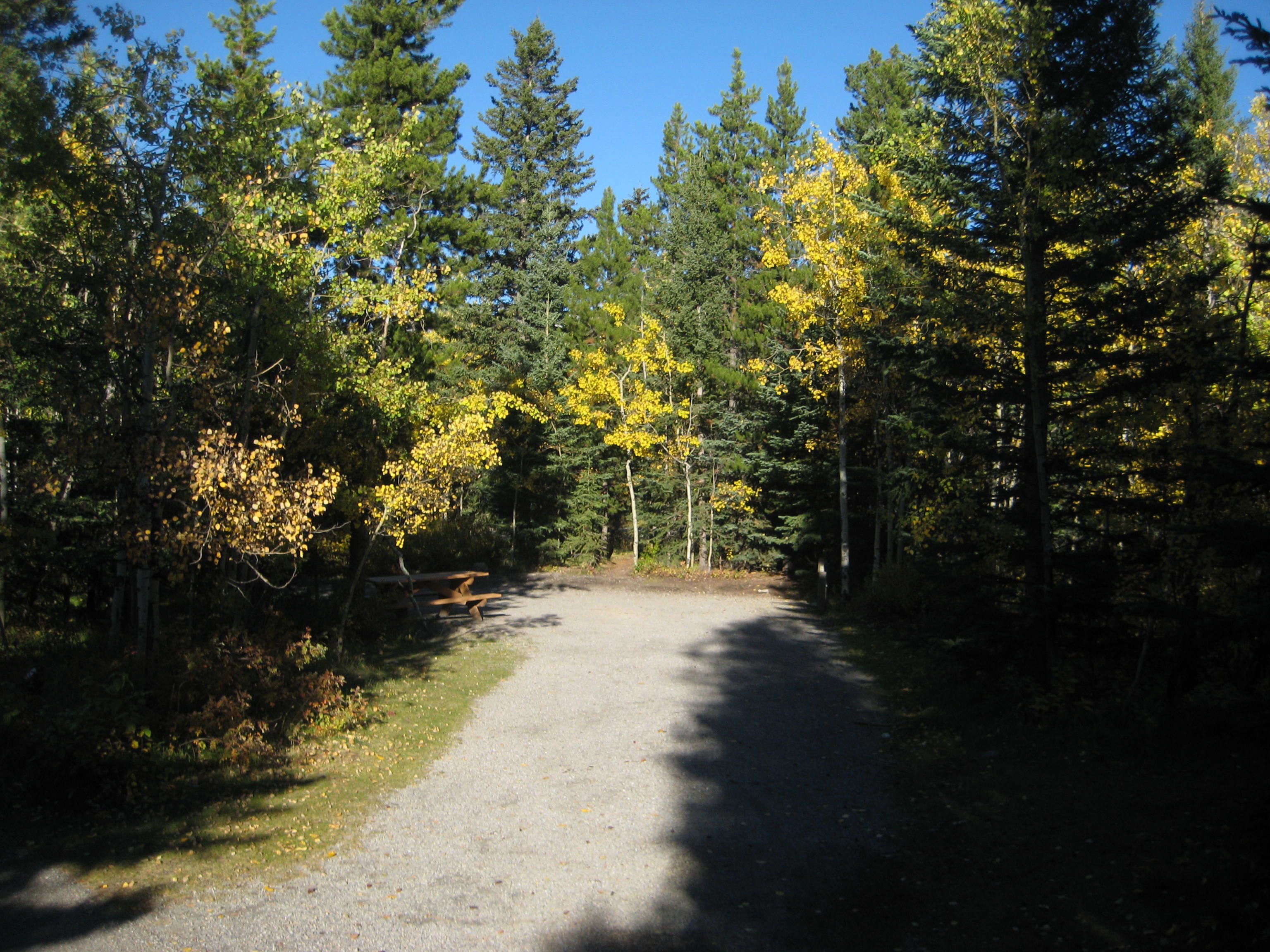Campsite 13 in Loop E