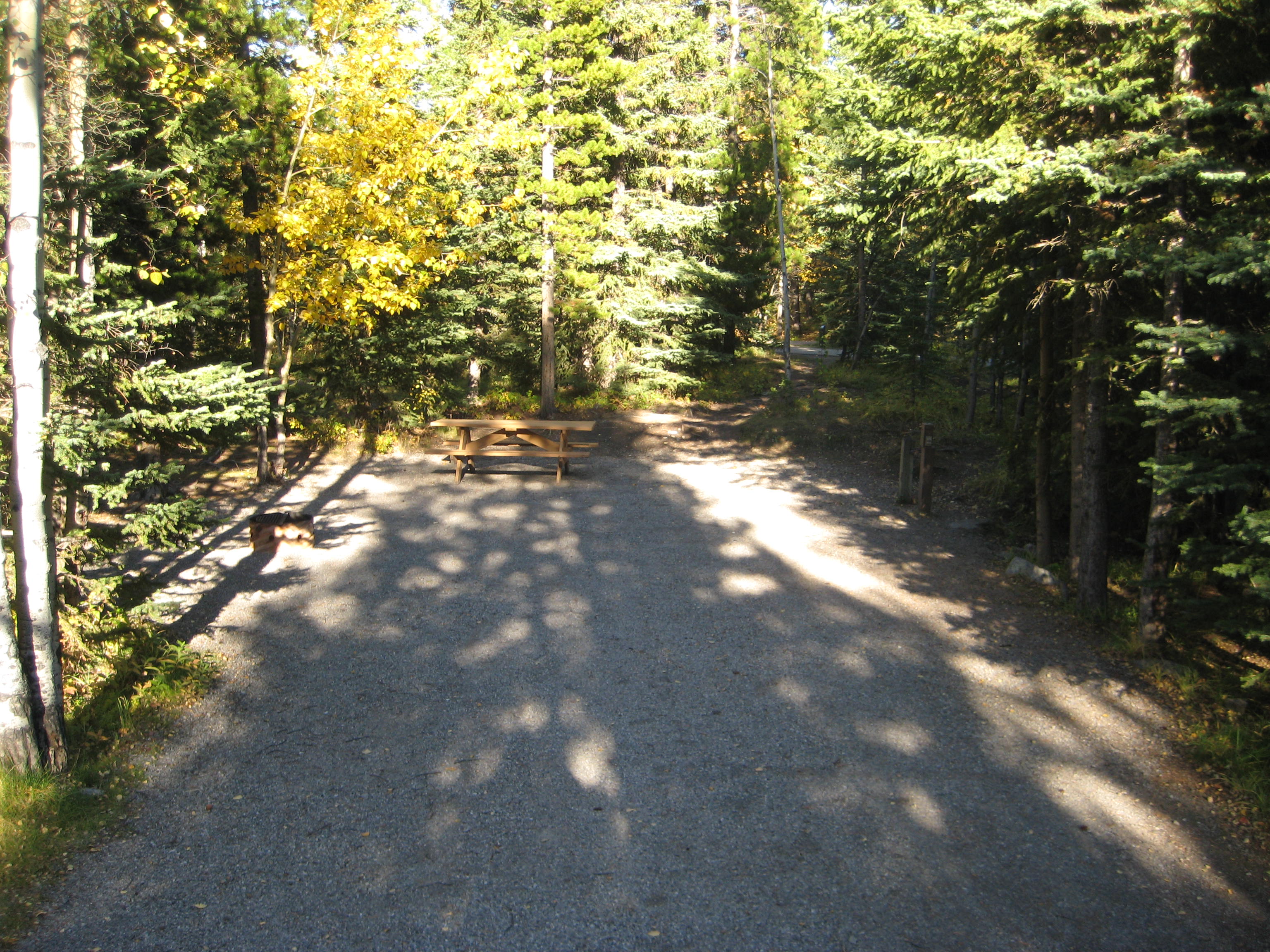 Campsite 15 in Loop E