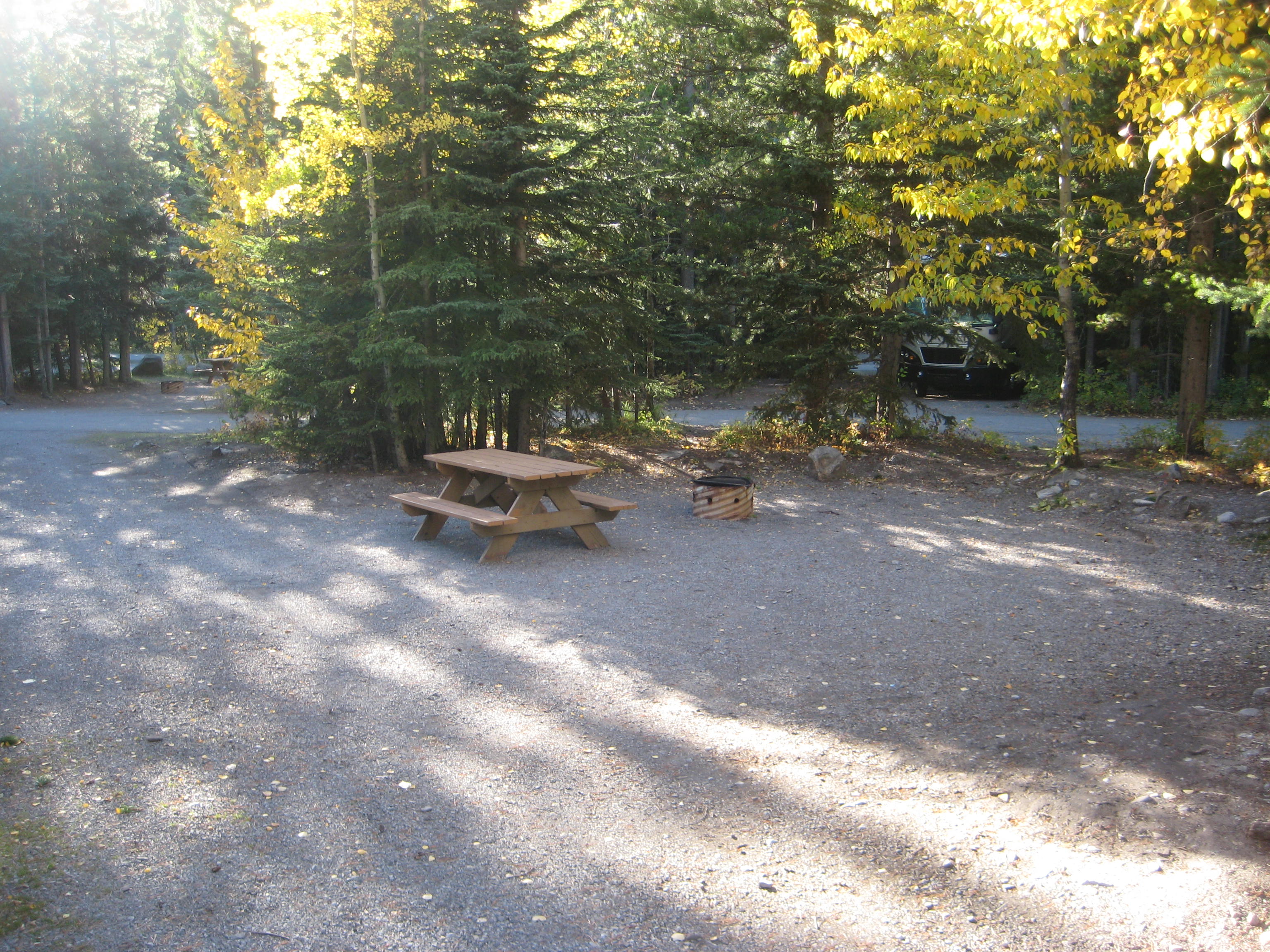 Campsite 16 in Loop E