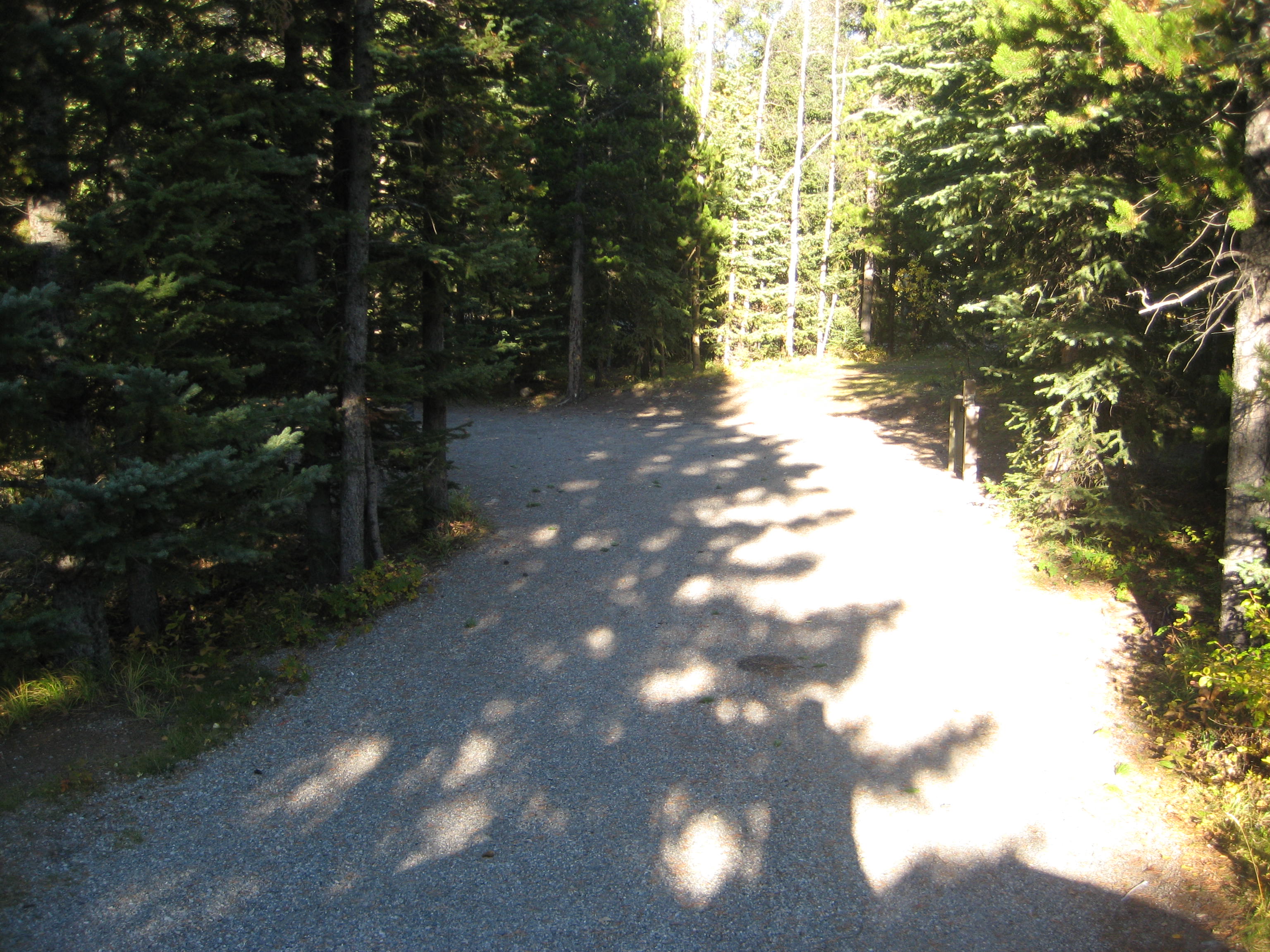 Campsite 18 in Loop E