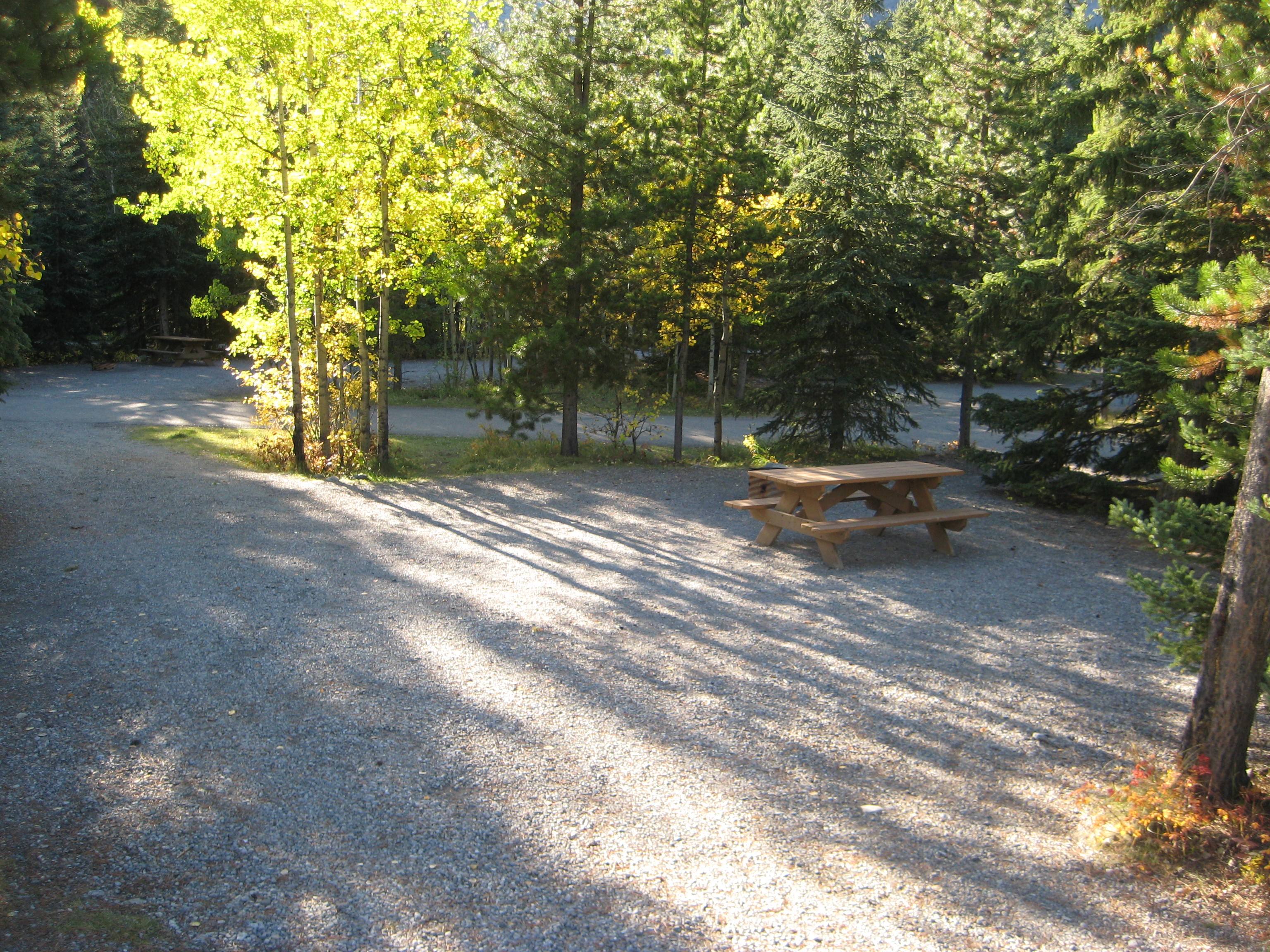 Campsite 19 in Loop E