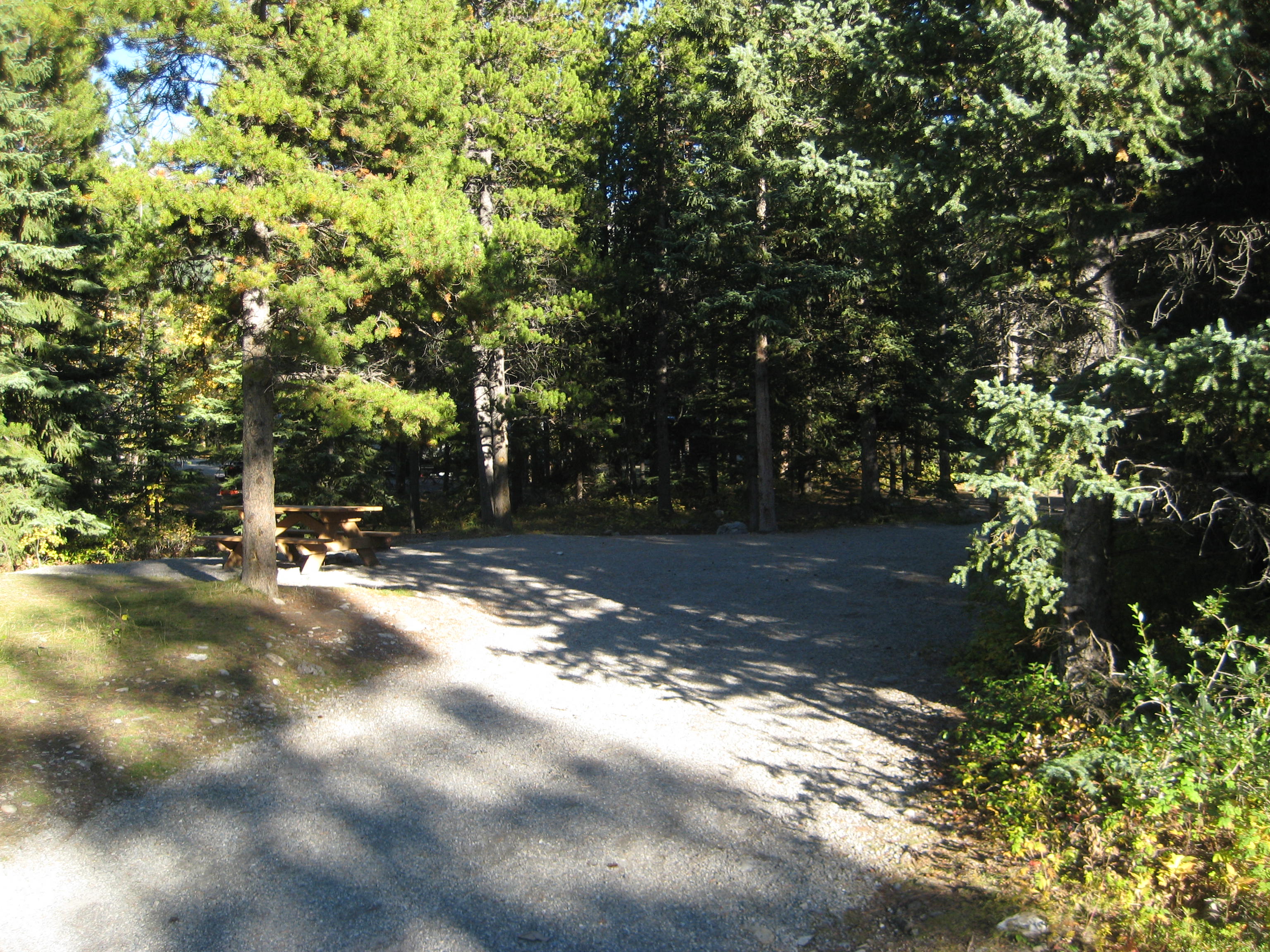 Campsite 2 in Loop E