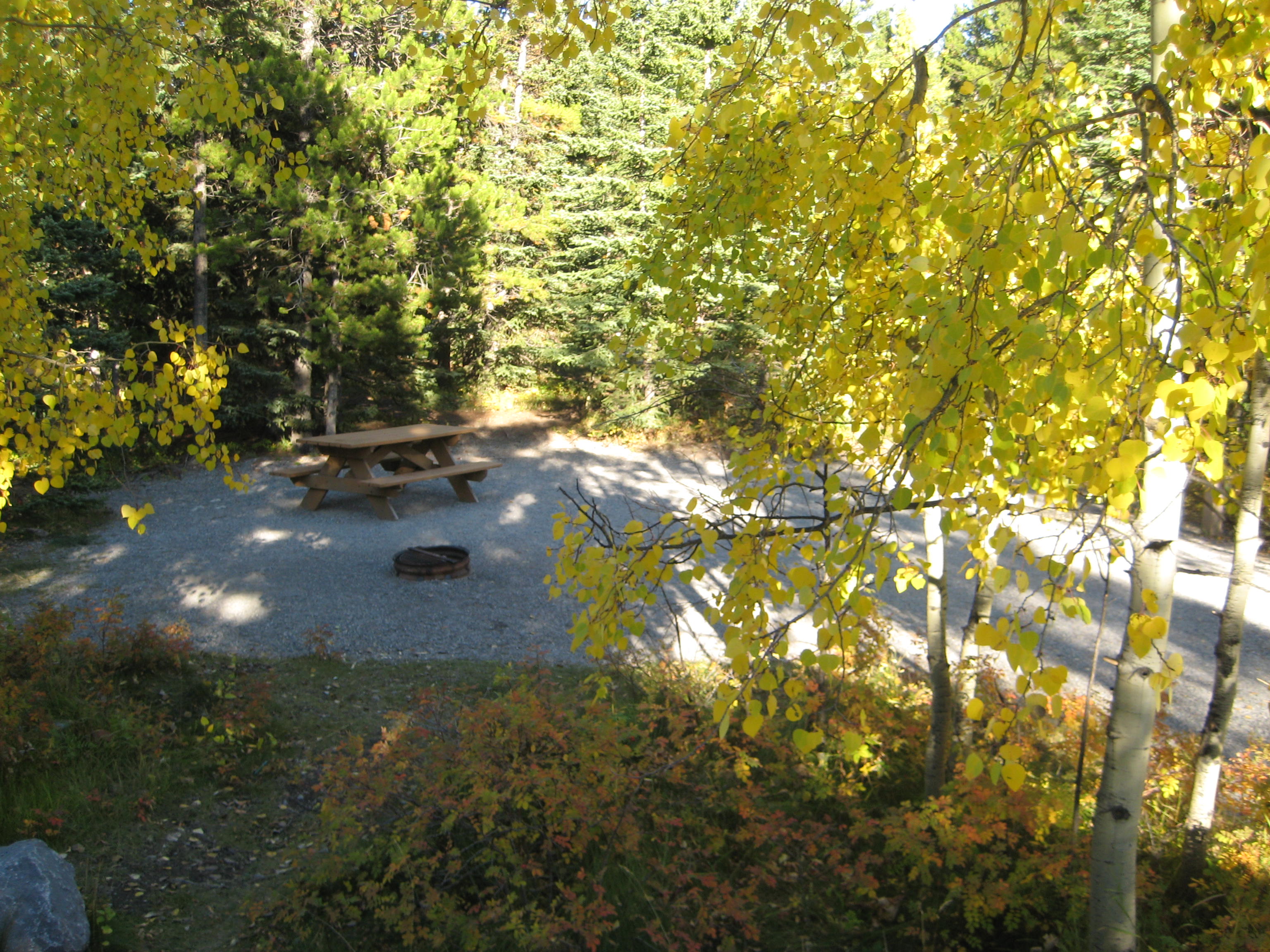 Campsite 20 in Loop E