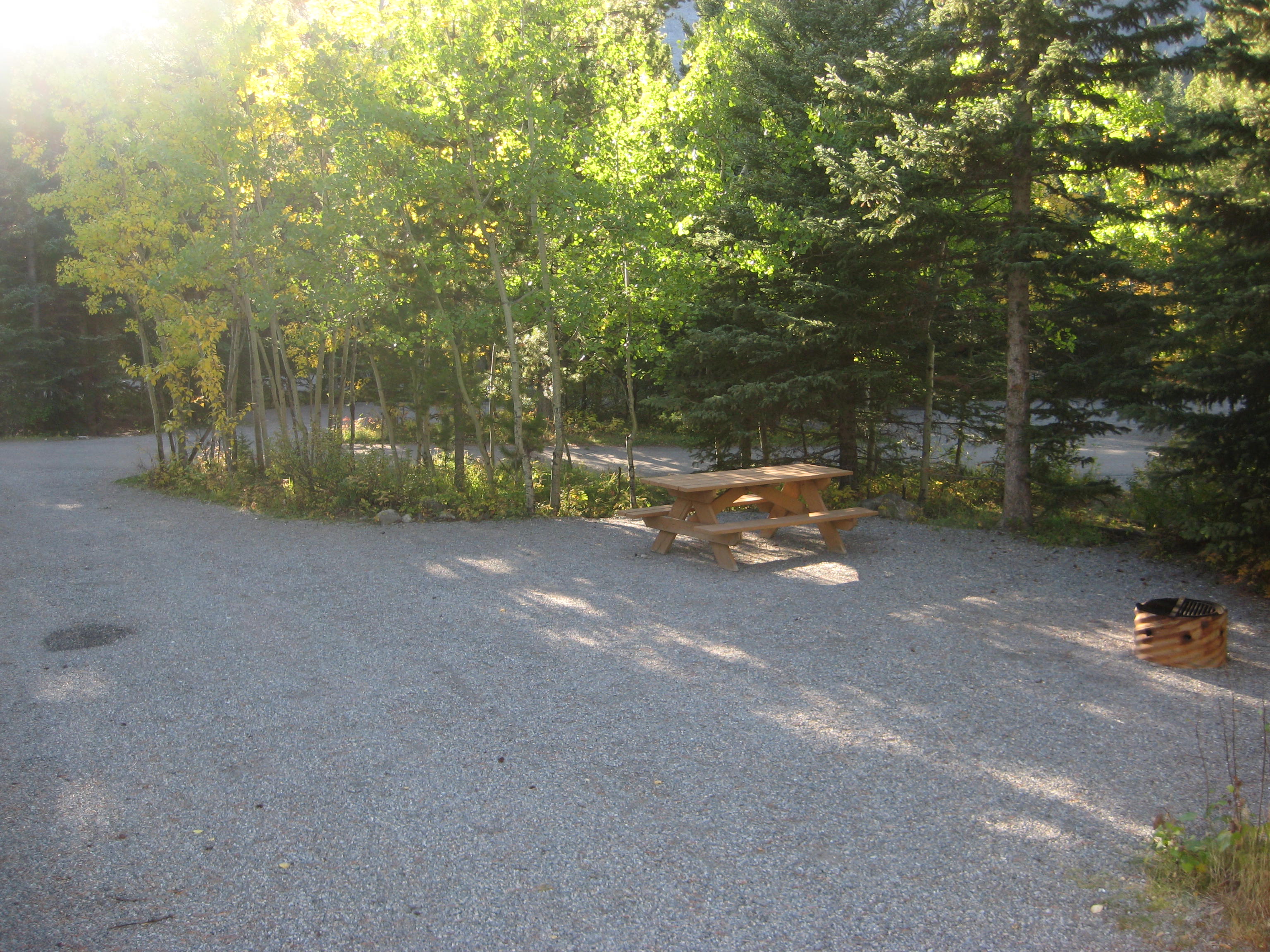 Campsite 21 in Loop E