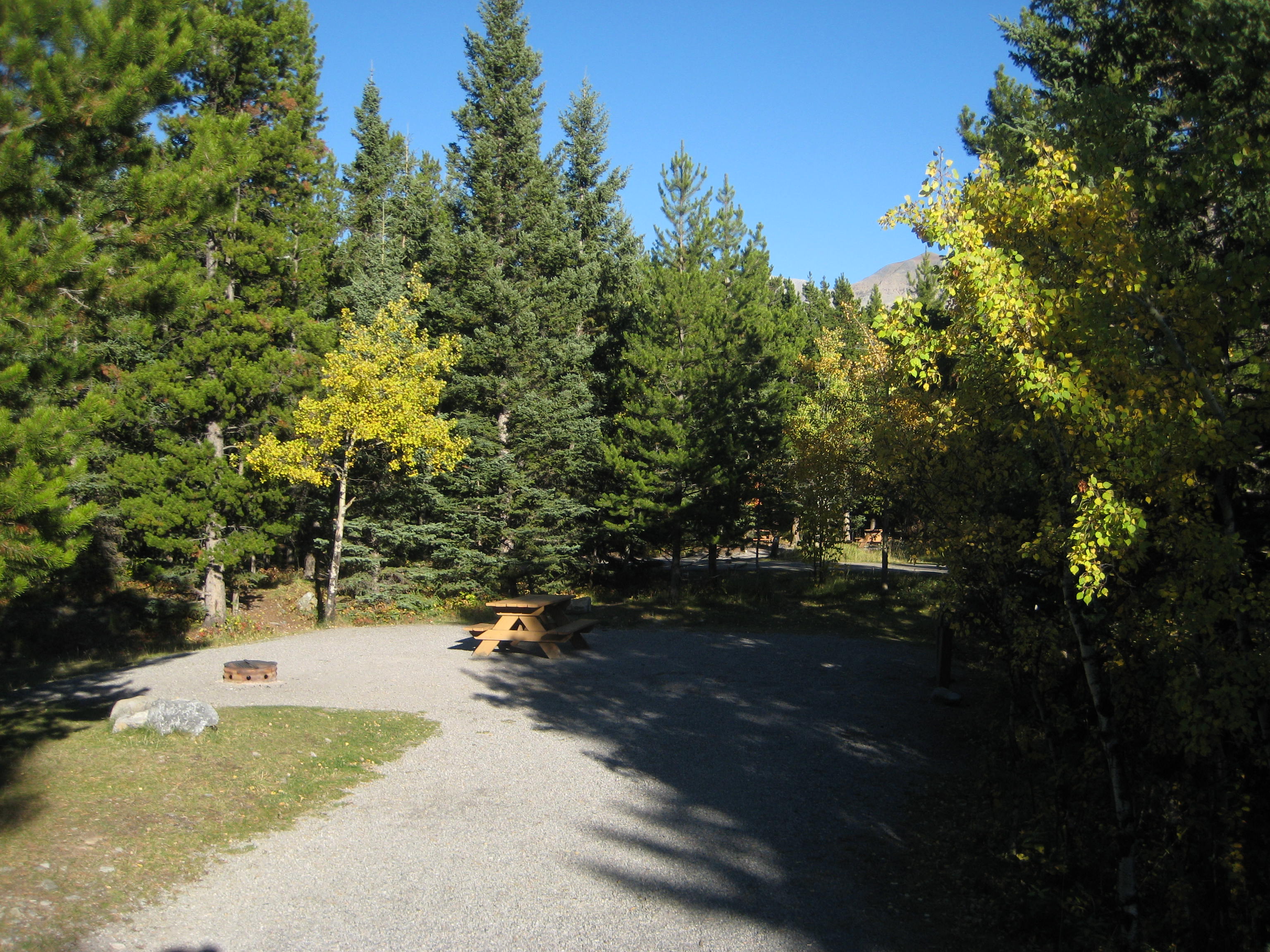Campsite 22 in Loop E