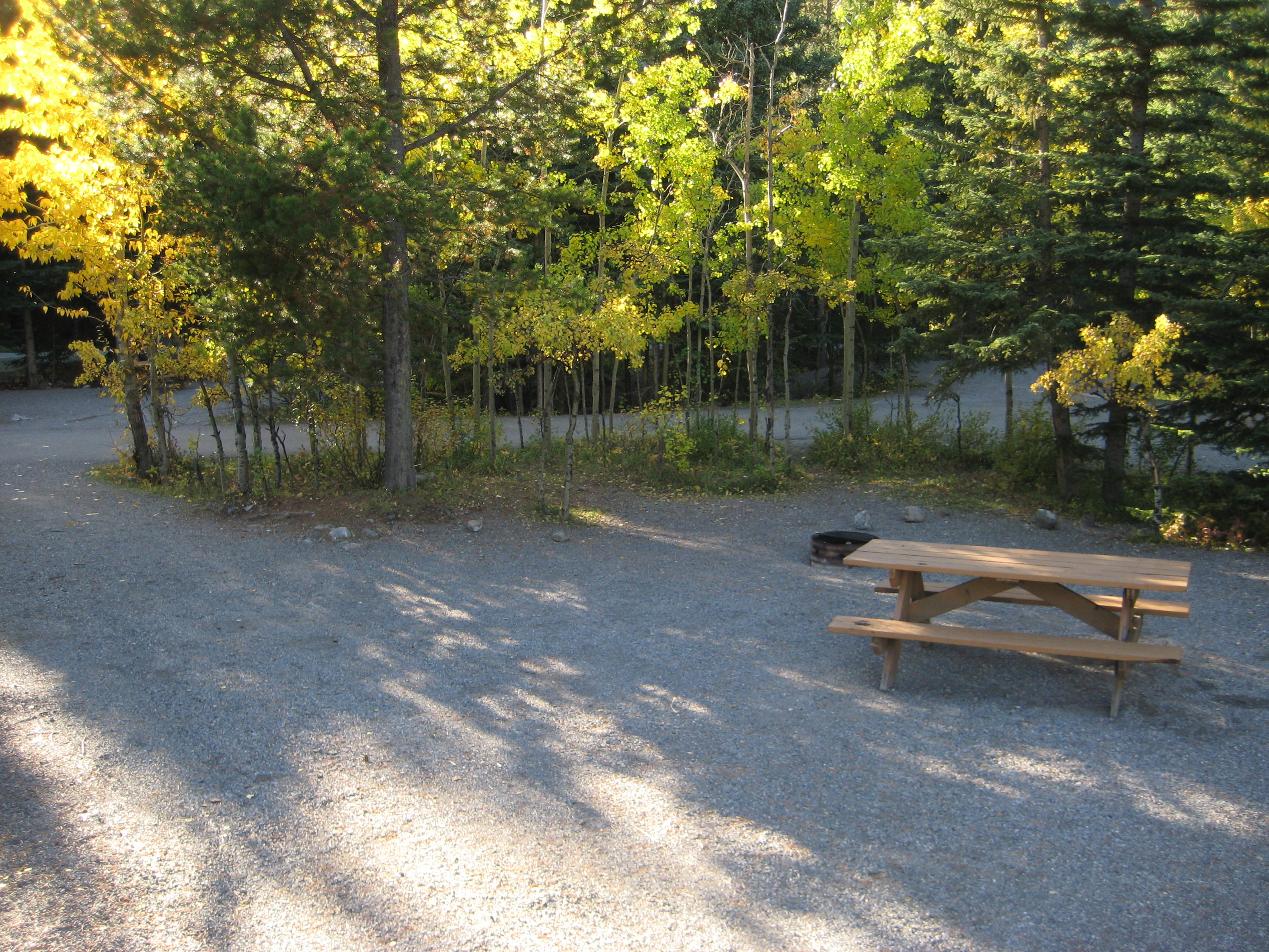 Campsite 23 in Loop E