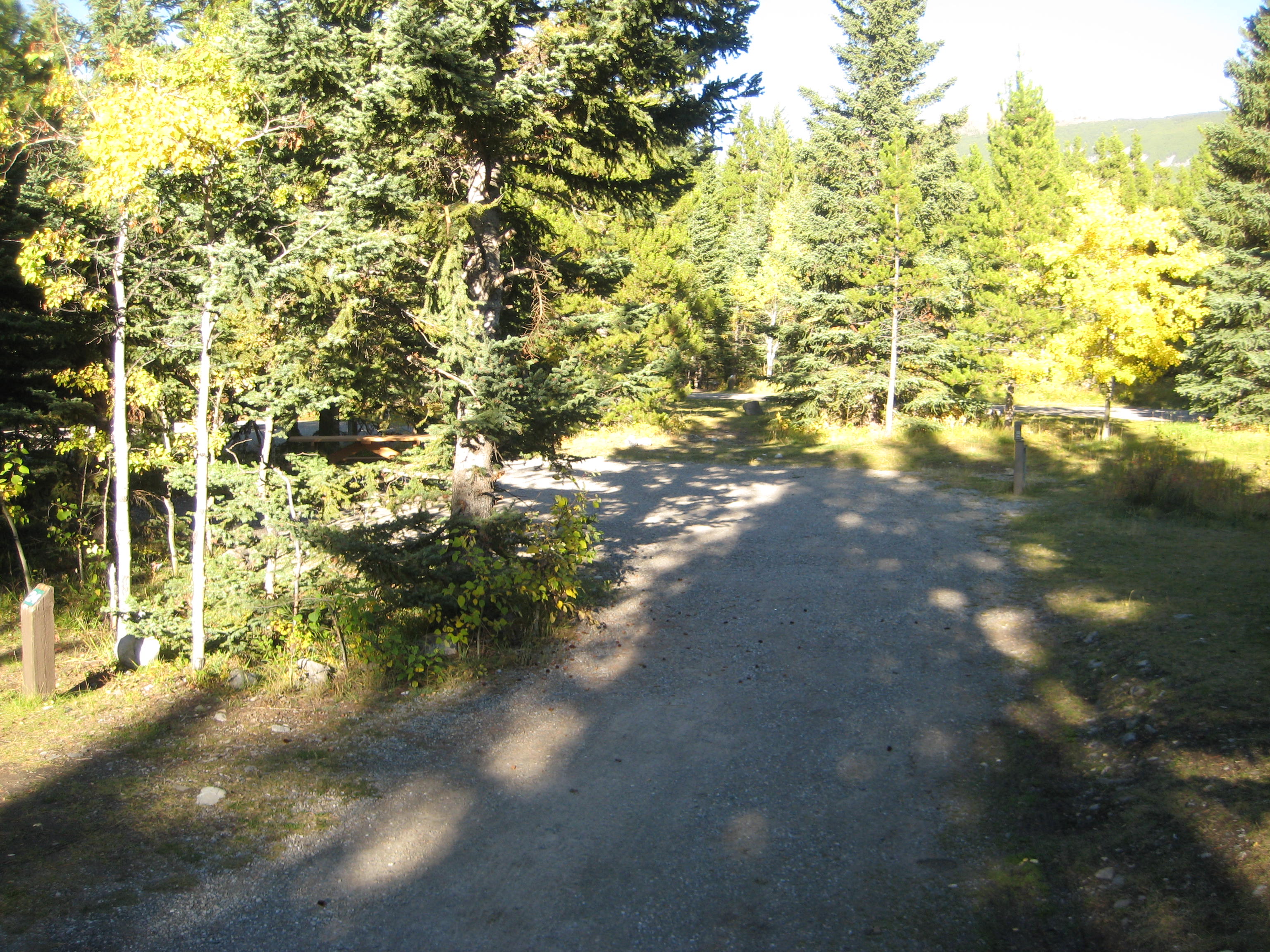 Campsite 24 in Loop E