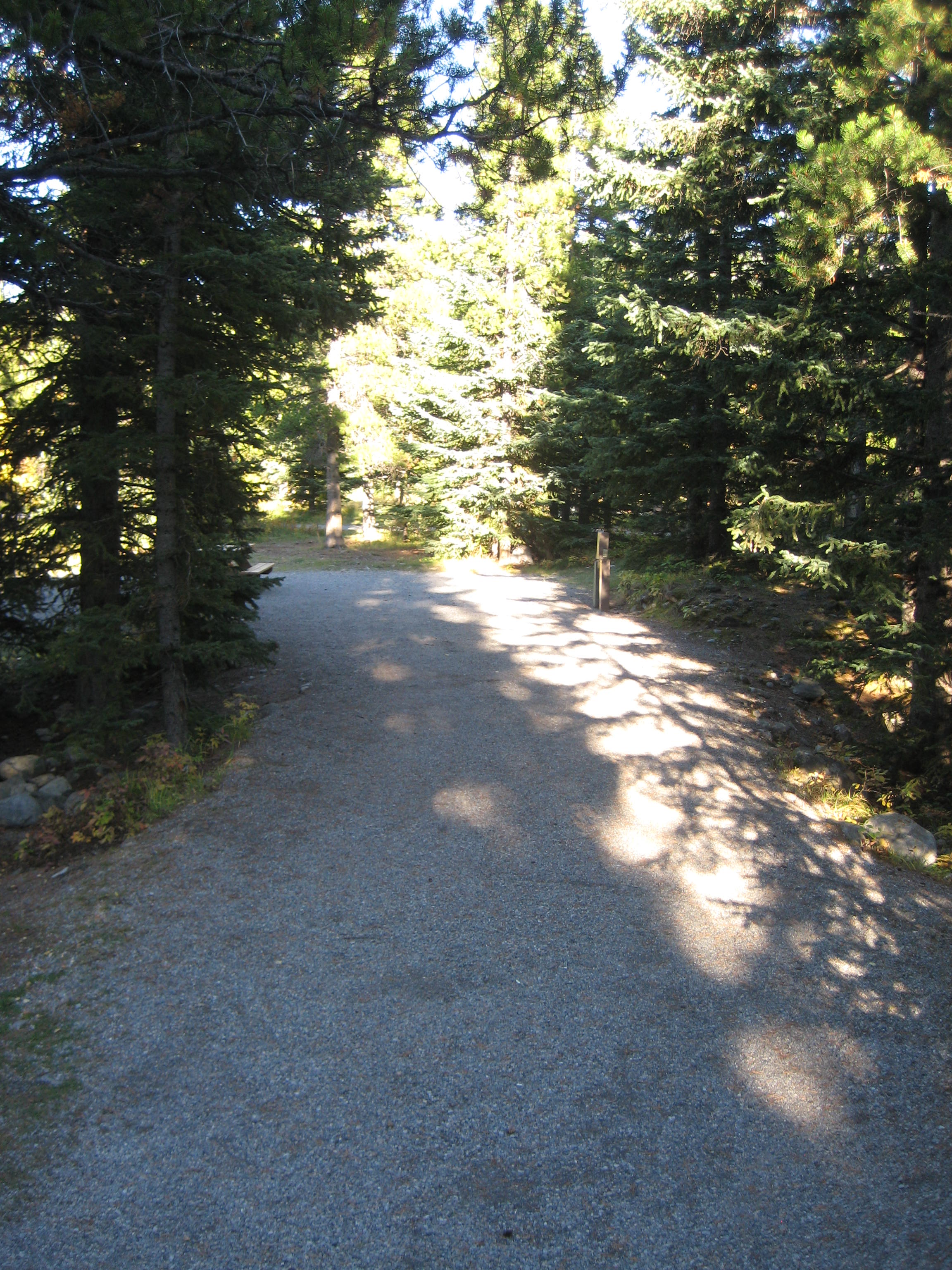 Campsite 26 in Loop E
