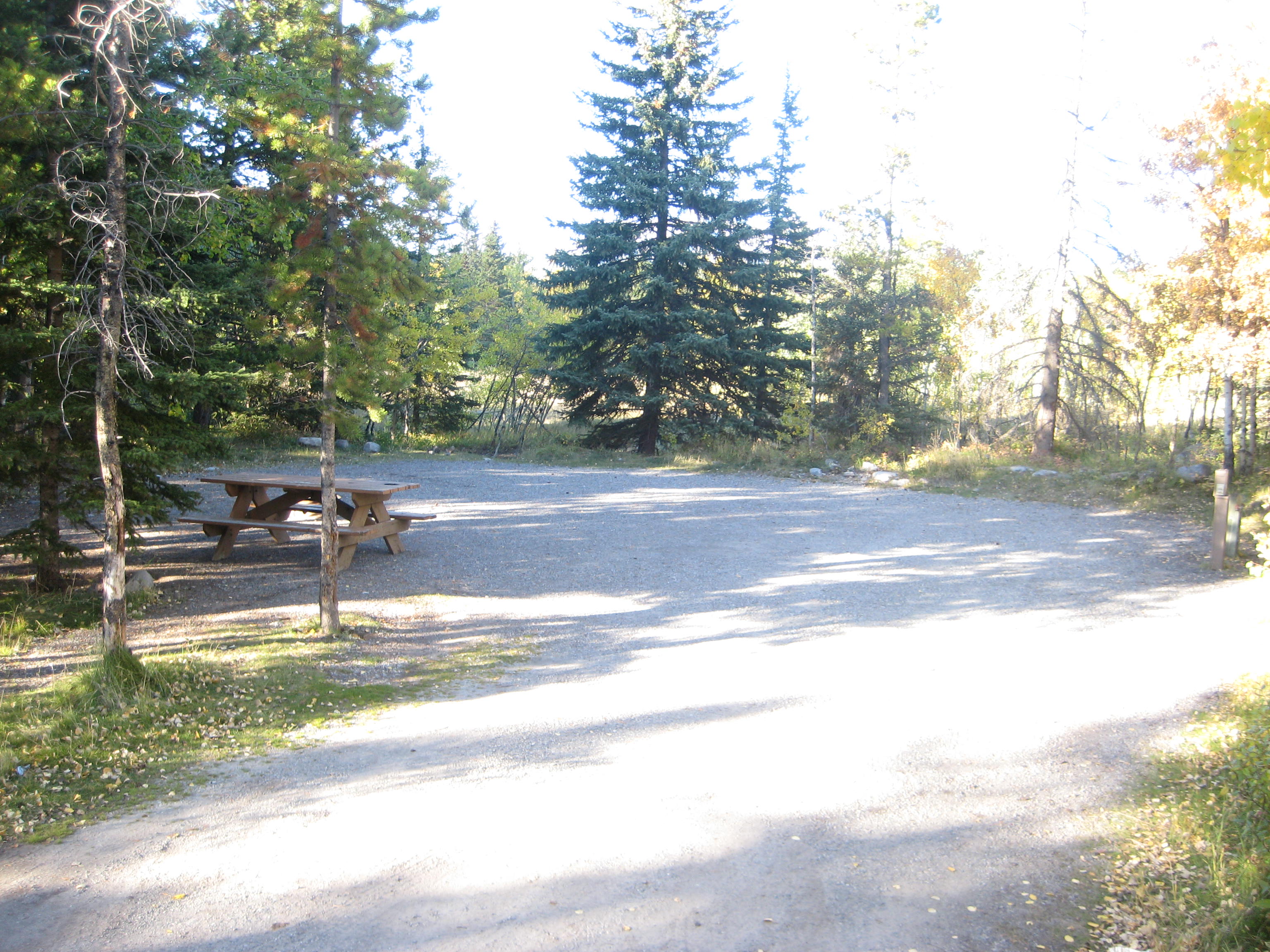 Campsite 28 in Loop E