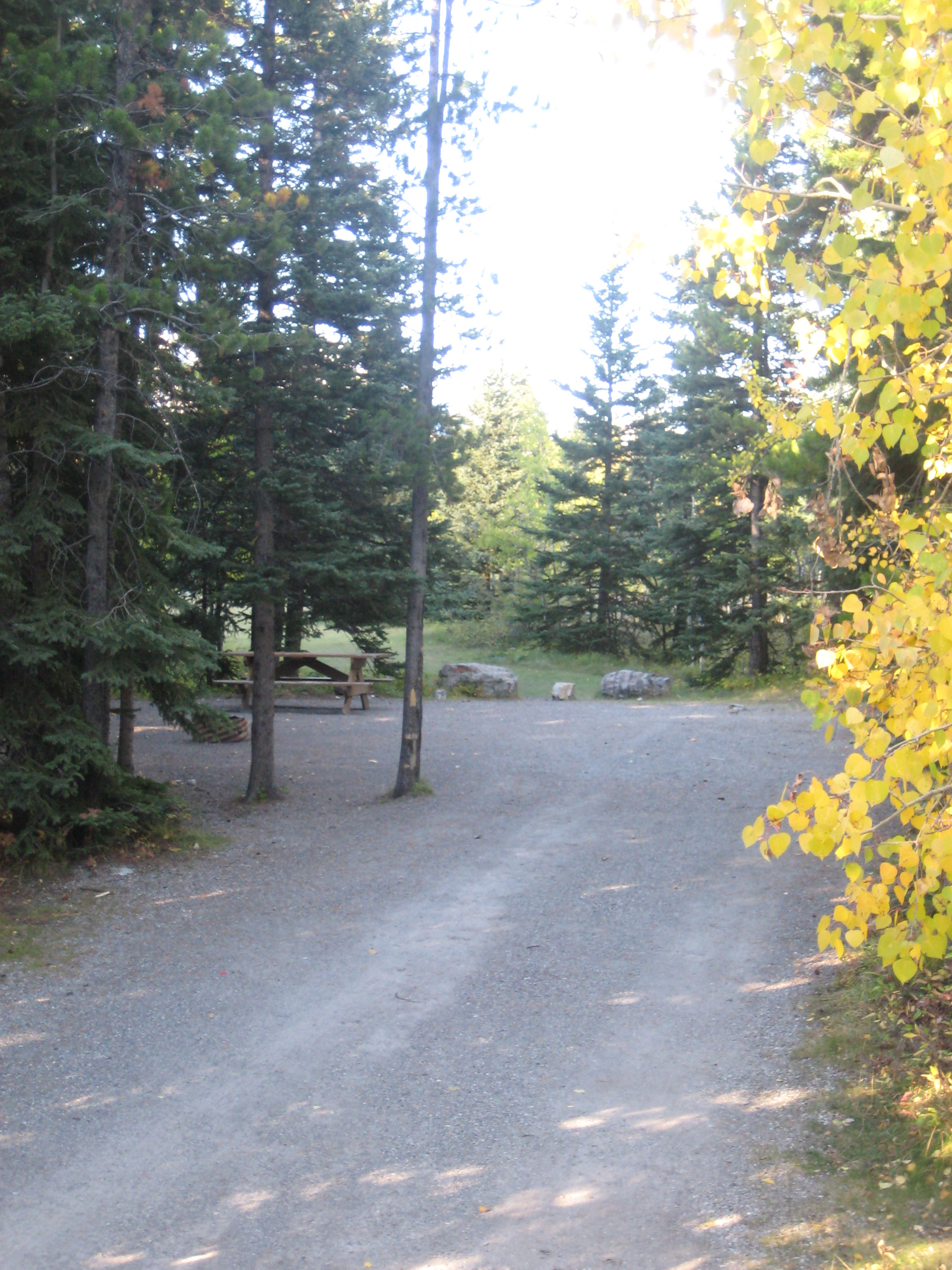 Campsite 29 in Loop E