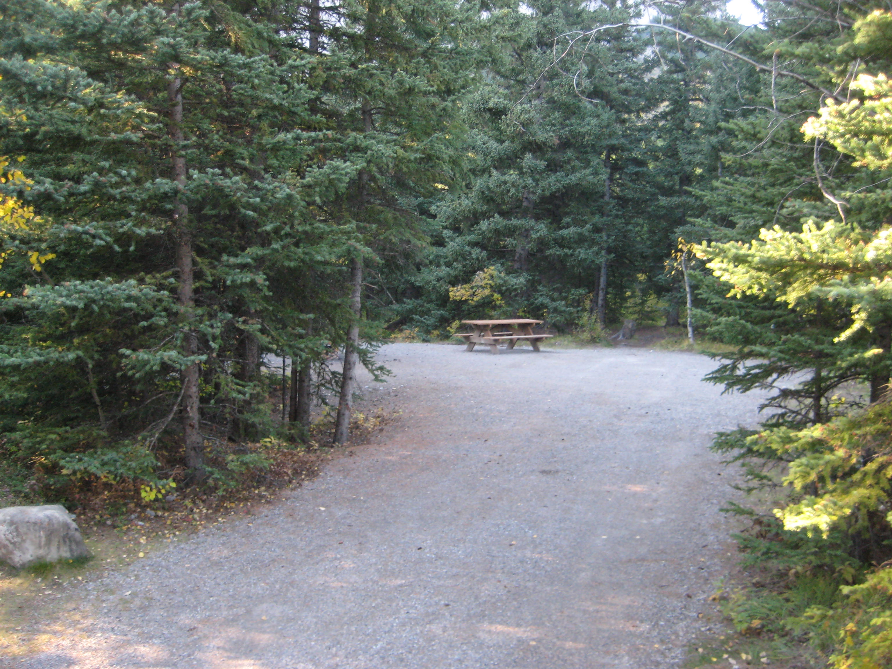 Campsite 31 in Loop E