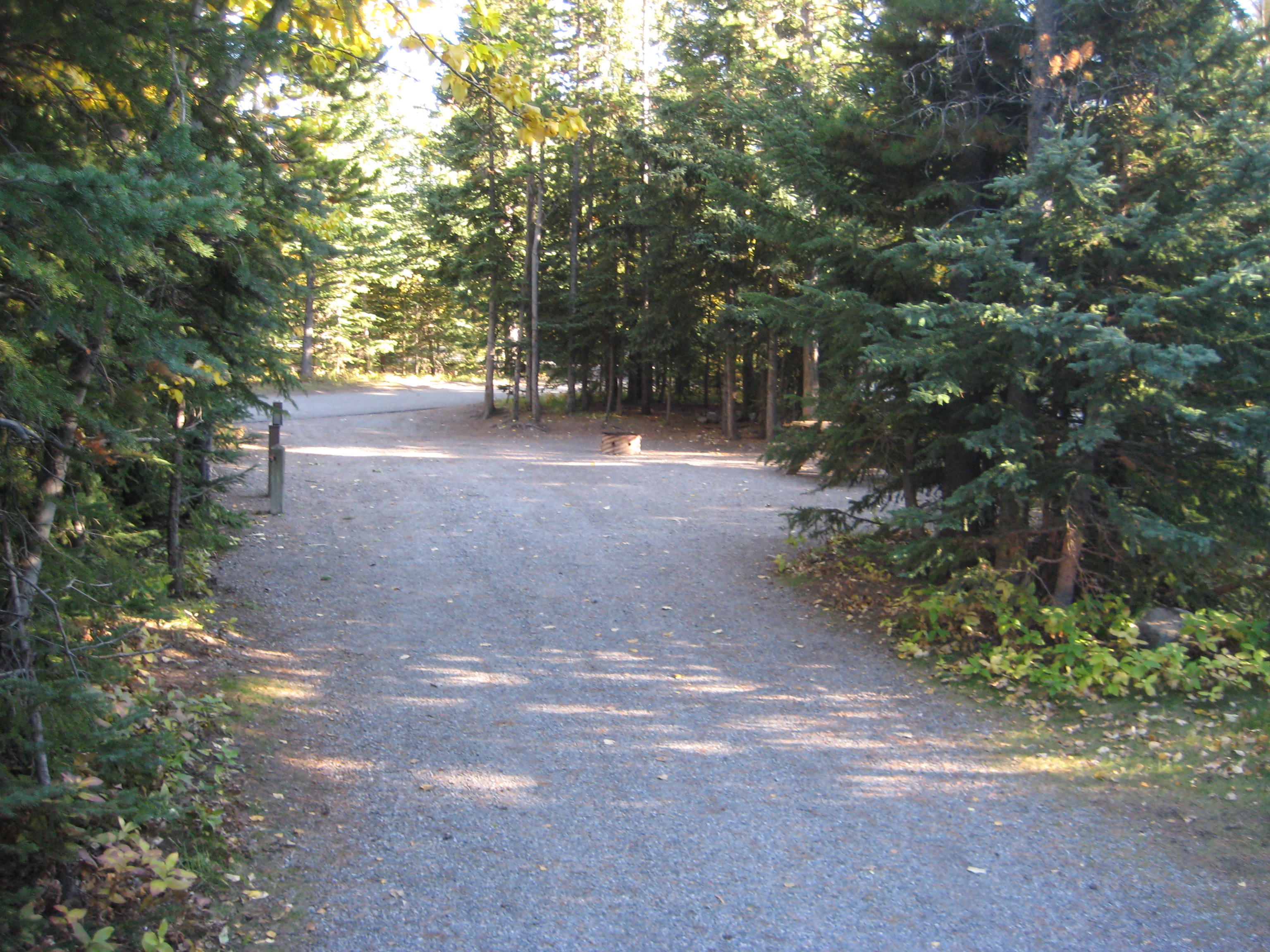 Campsite 33 in Loop E