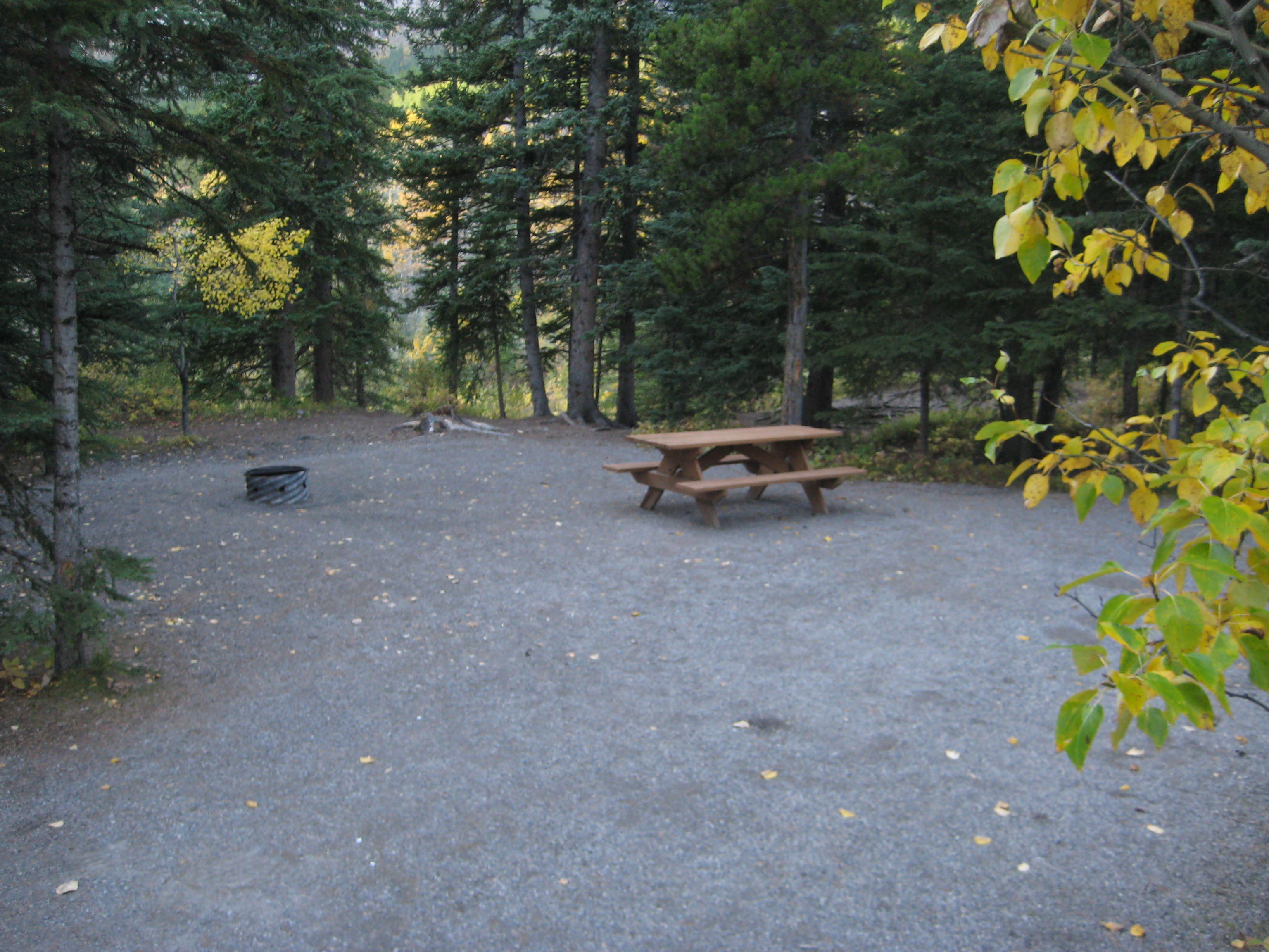 Campsite 34 in Loop E