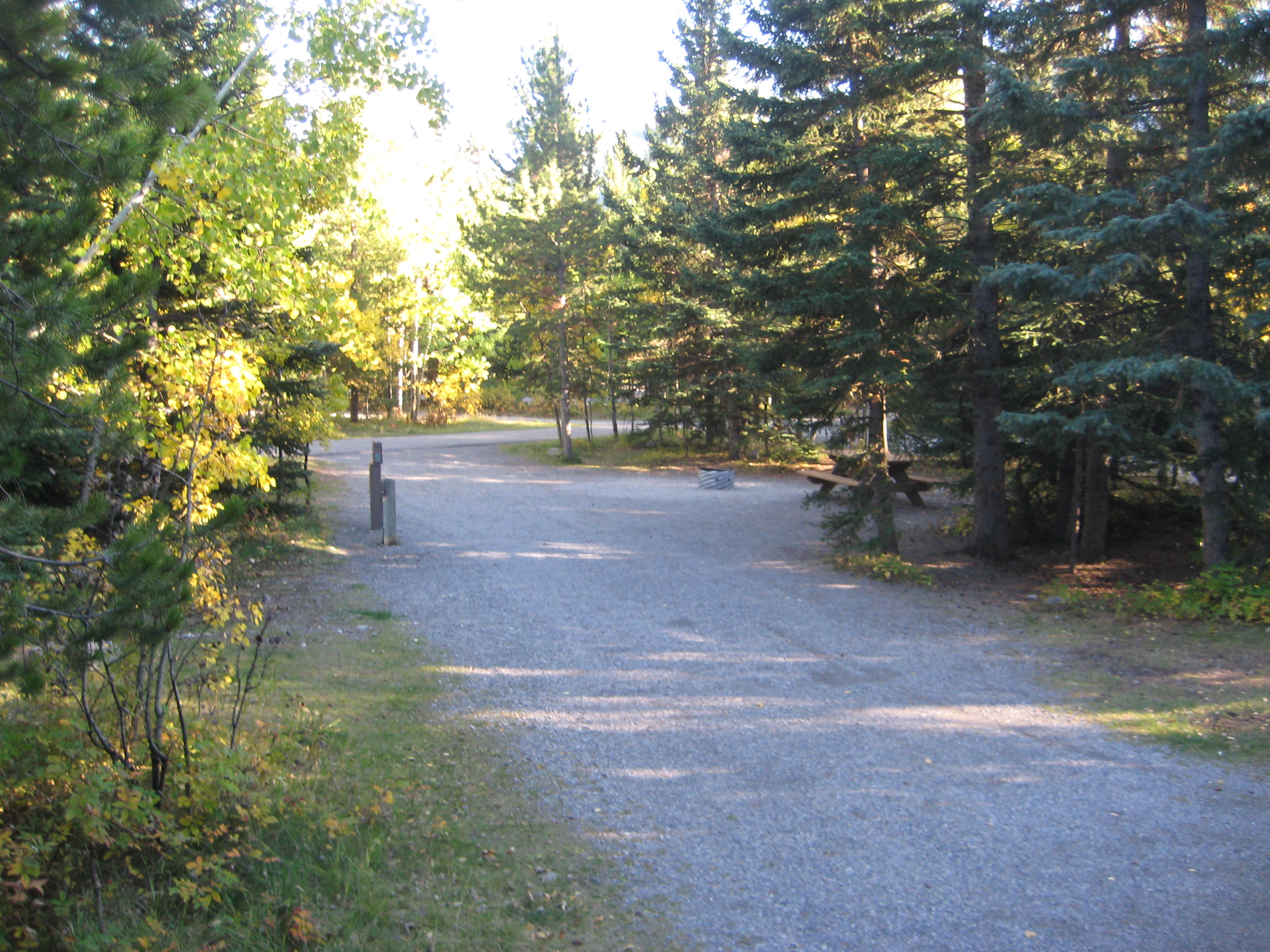 Campsite 35 in Loop E