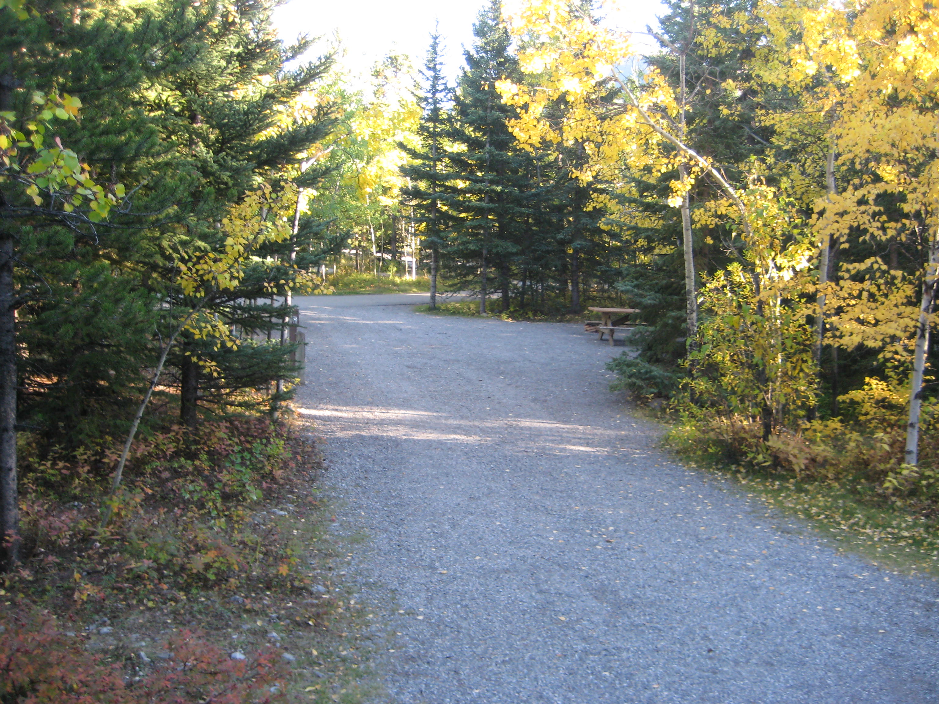 Campsite 37 in Loop E