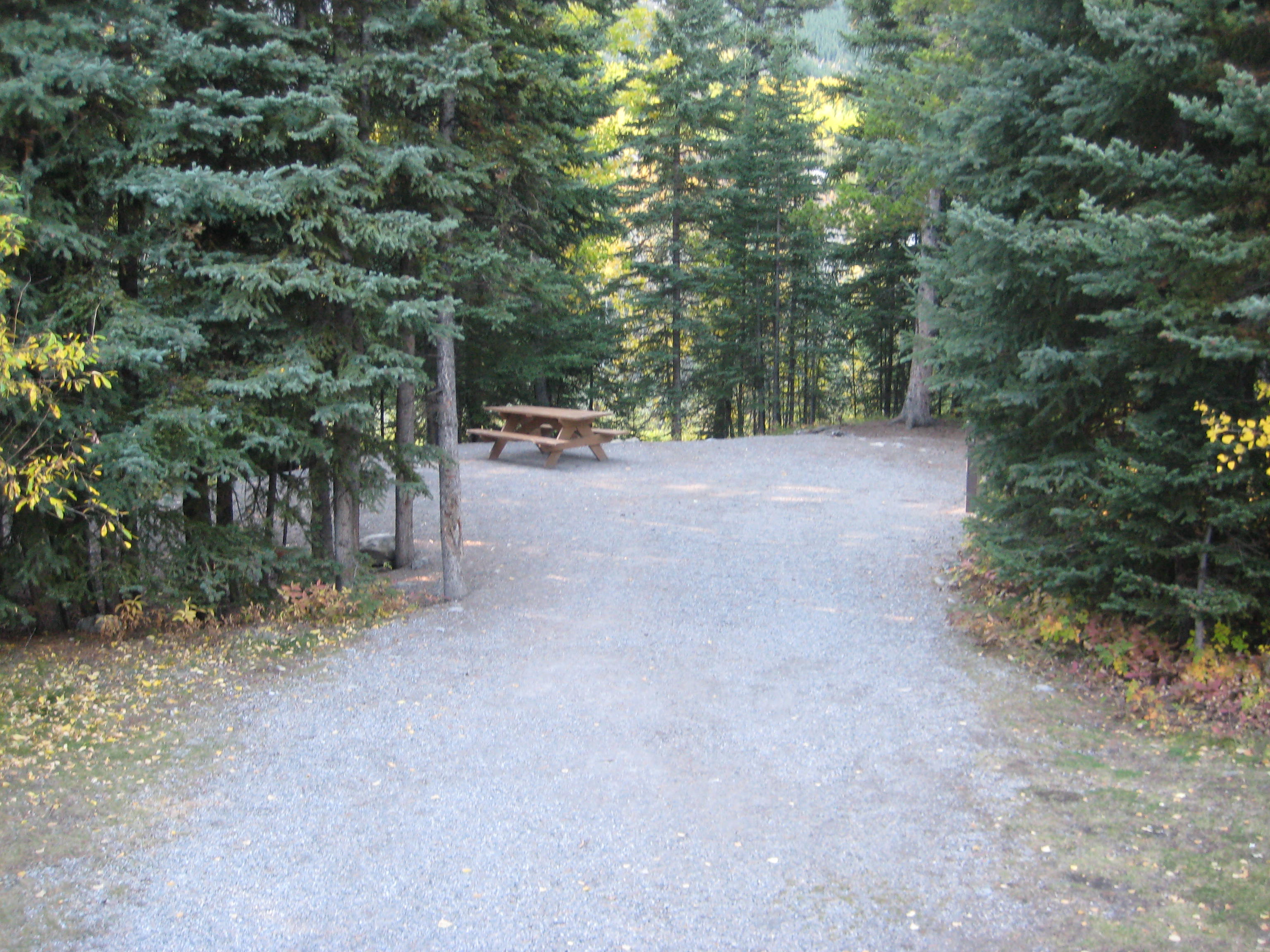 Campsite 38 in Loop E