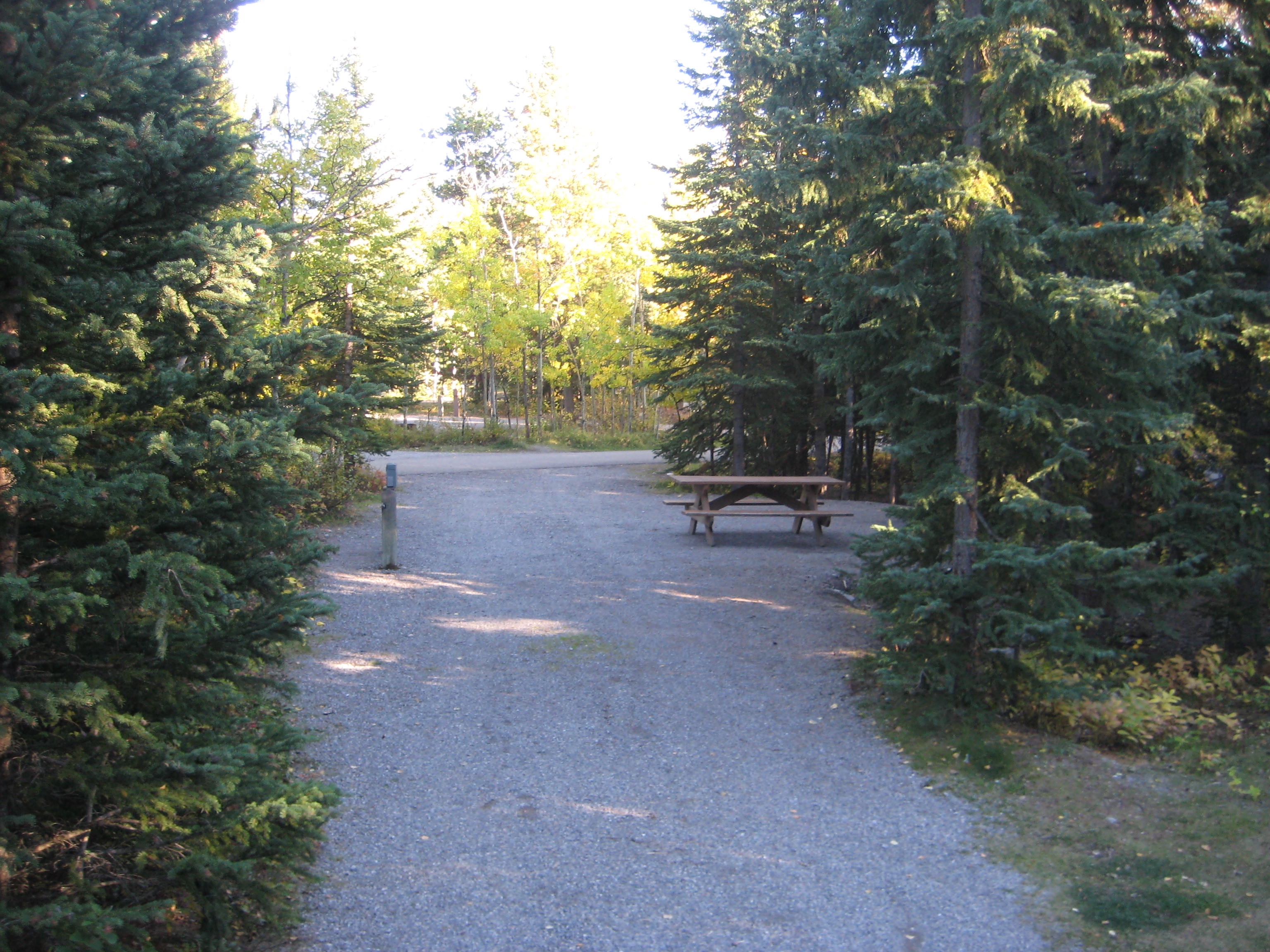 Campsite 39 in Loop E