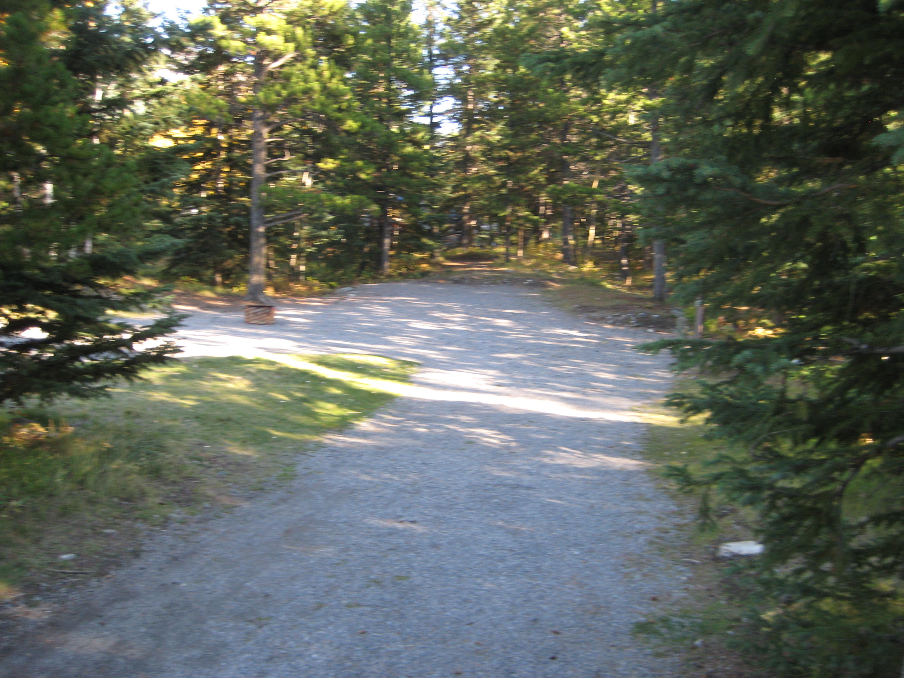 Campsite 4 in Loop E