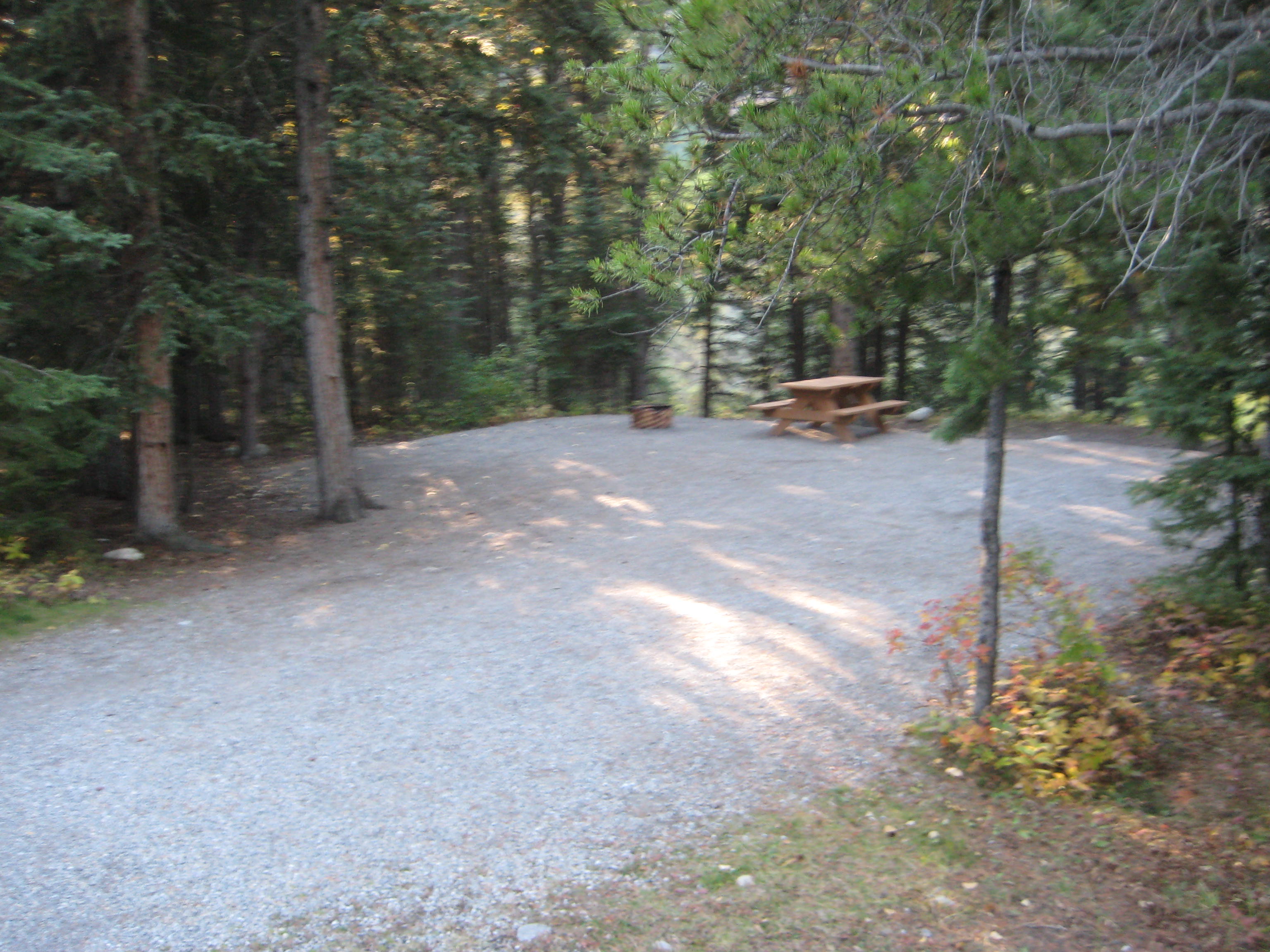 Campsite 40 in Loop E