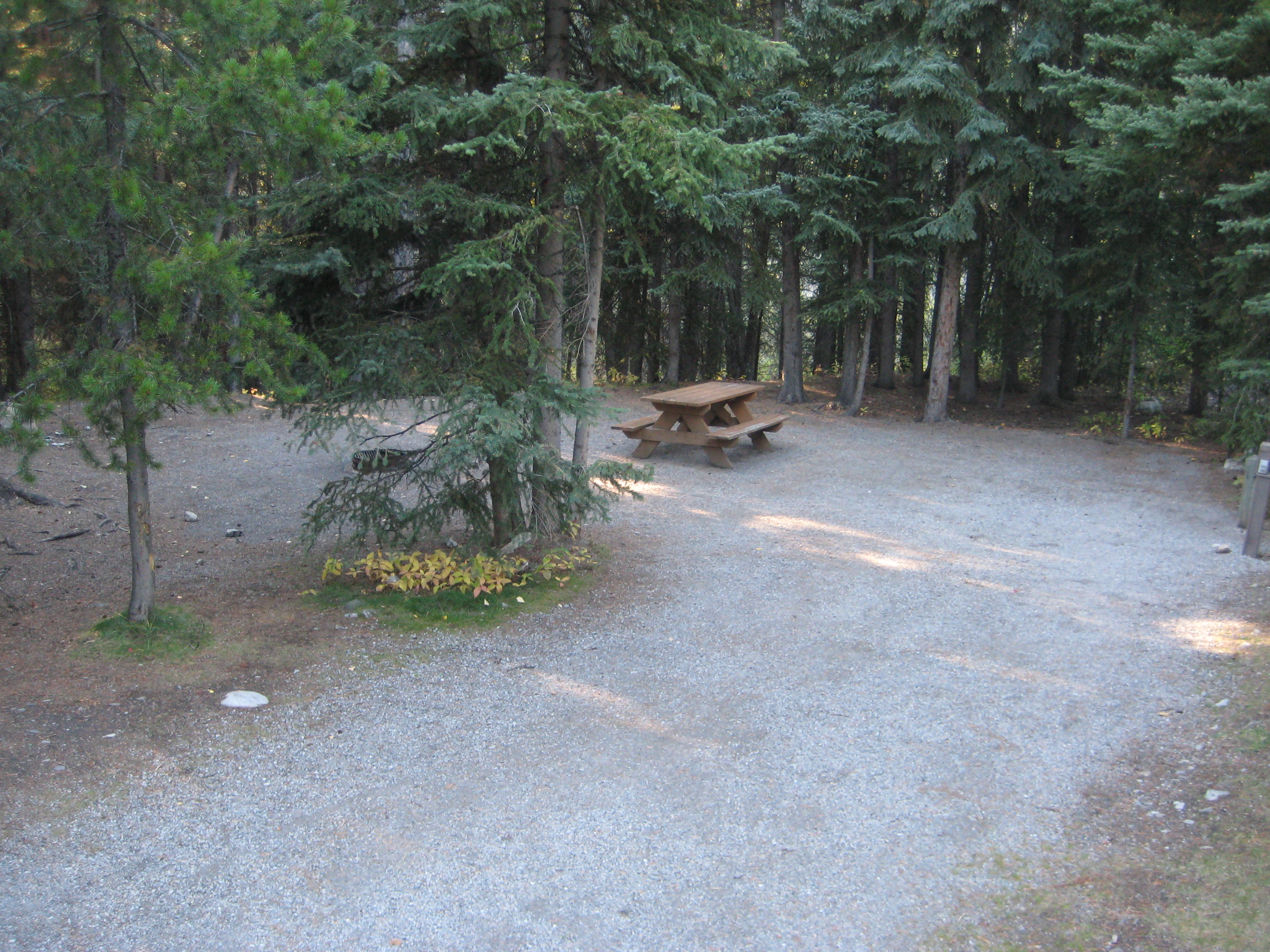 Campsite 43 in Loop E