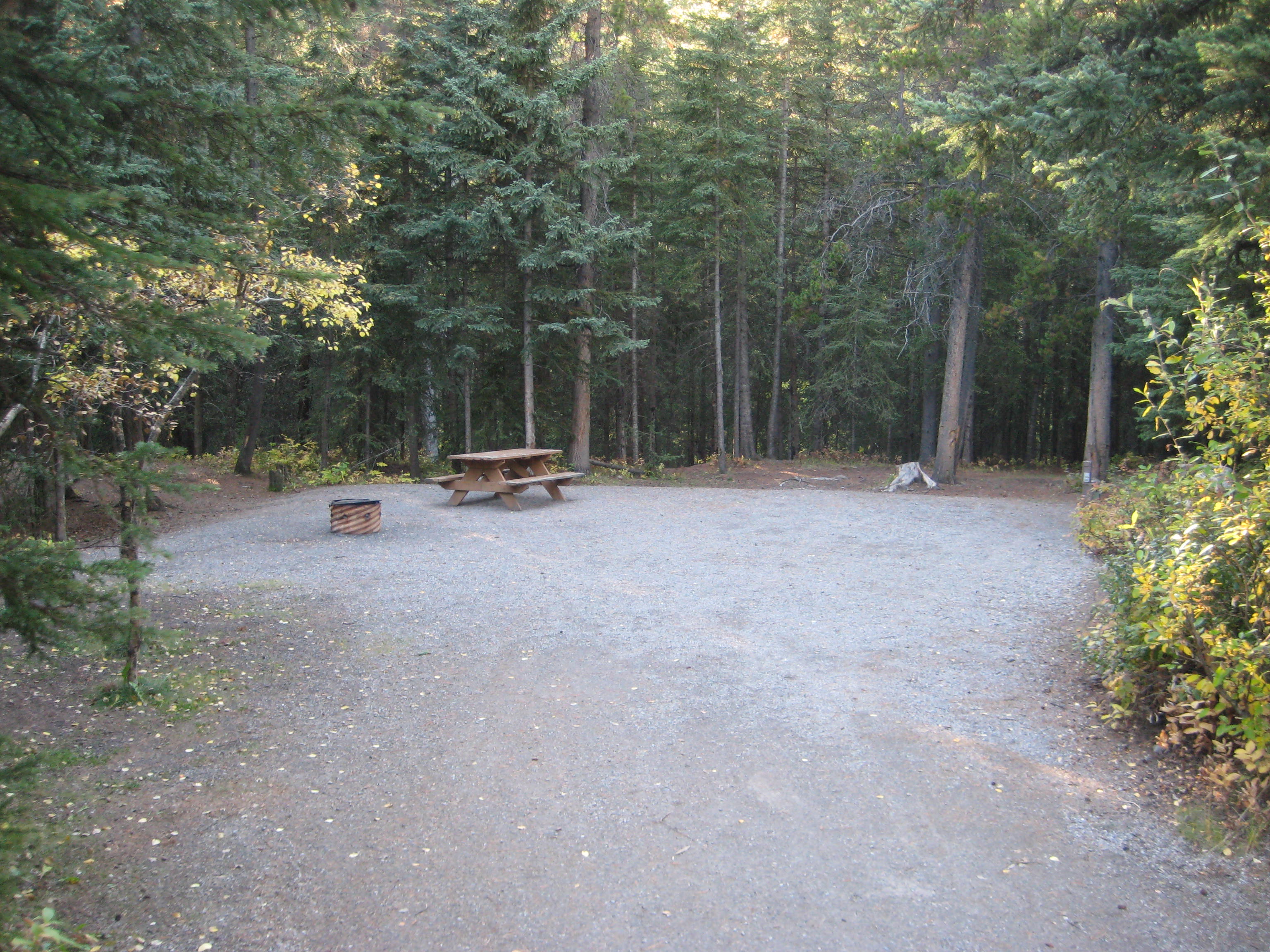 Campsite 45 in Loop E