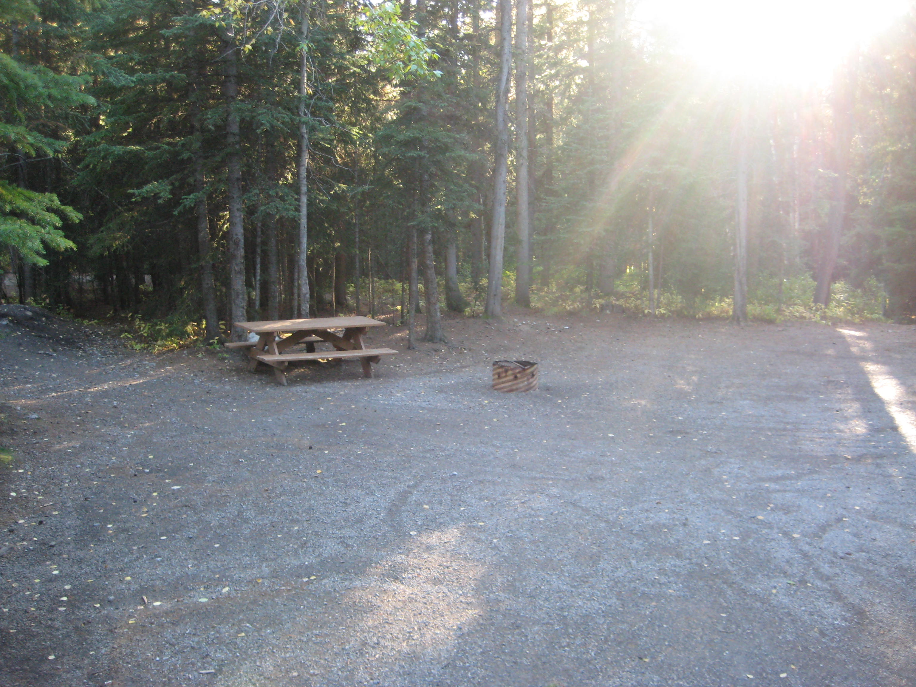 Campsite 46 in Loop E