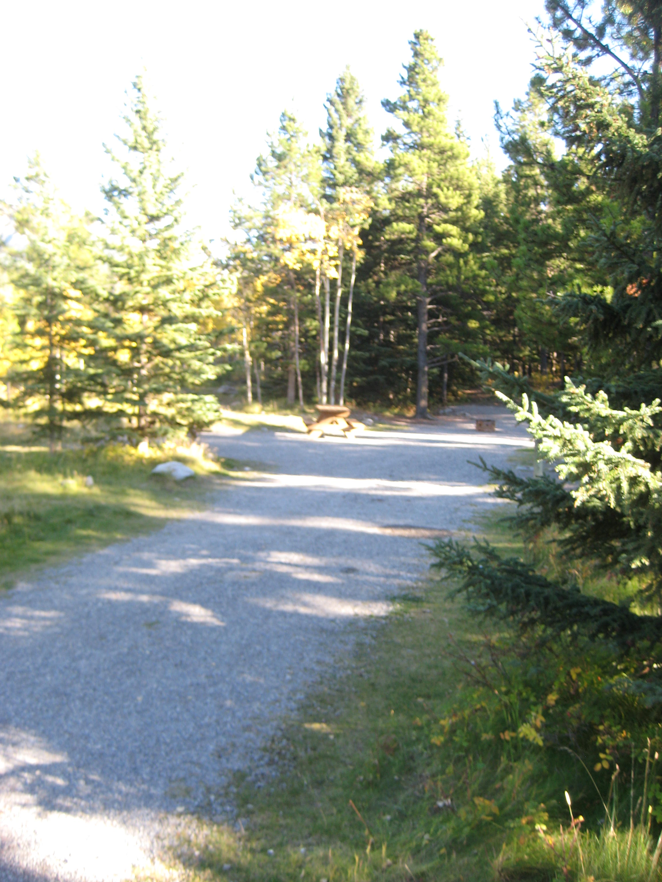 Campsite 5 in Loop E