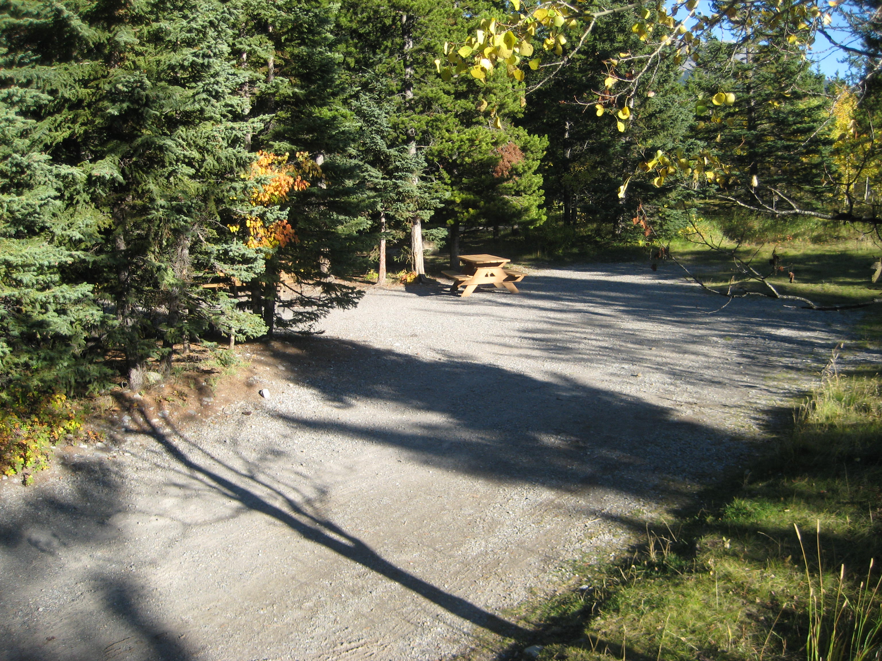 Campsite 6 in Loop E