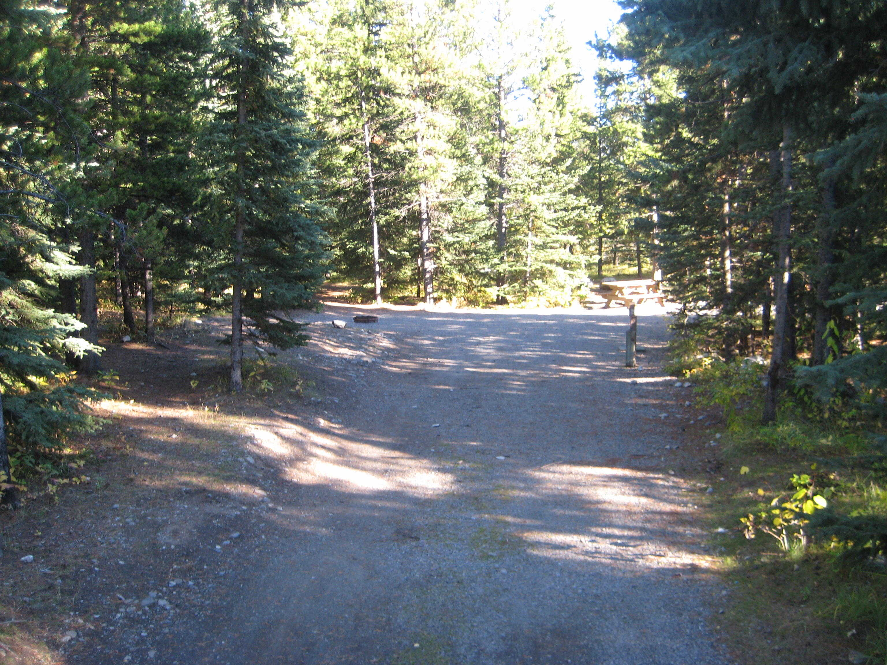 Campsite 7 in Loop E