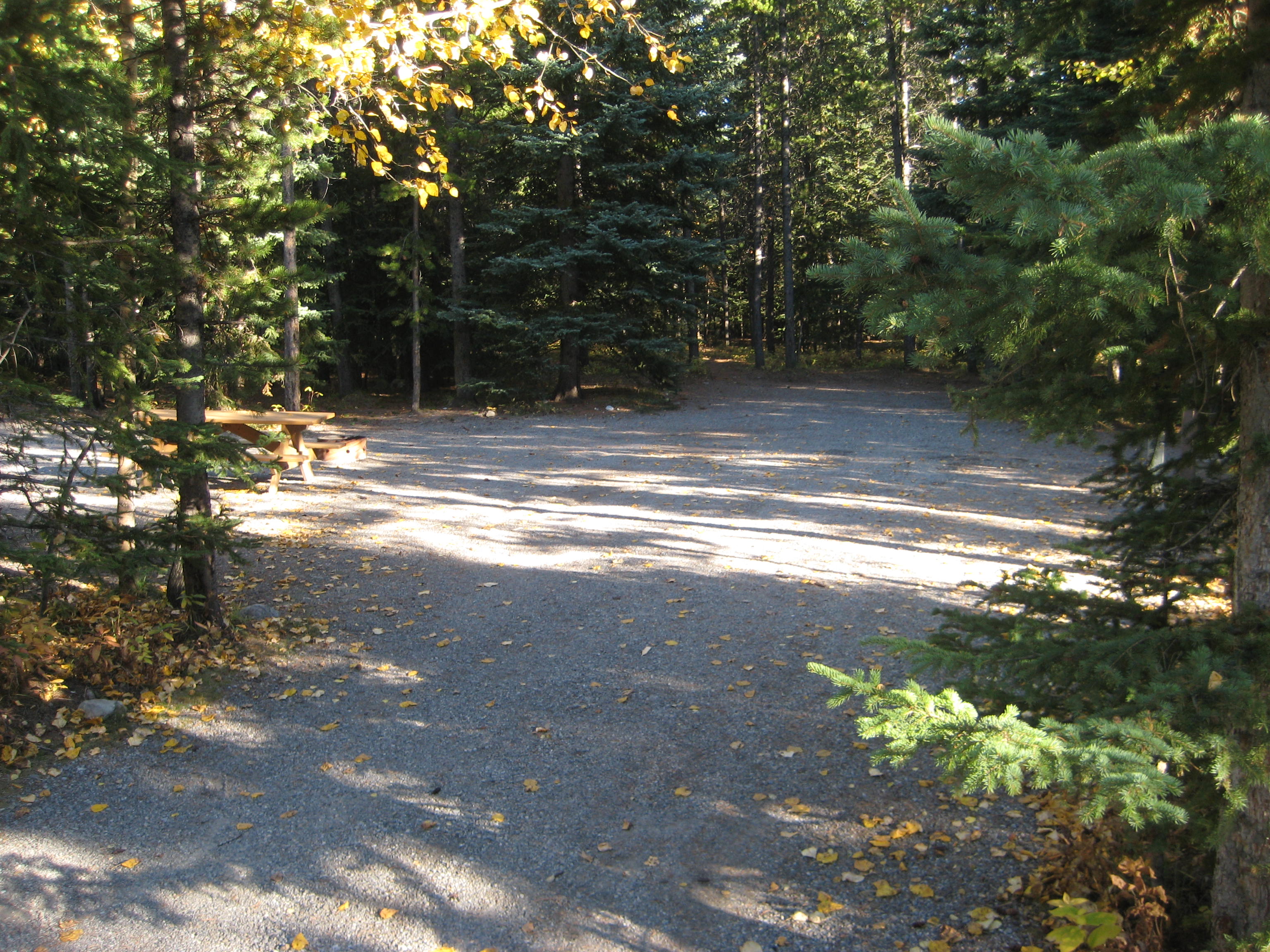 Campsite 8 in Loop E