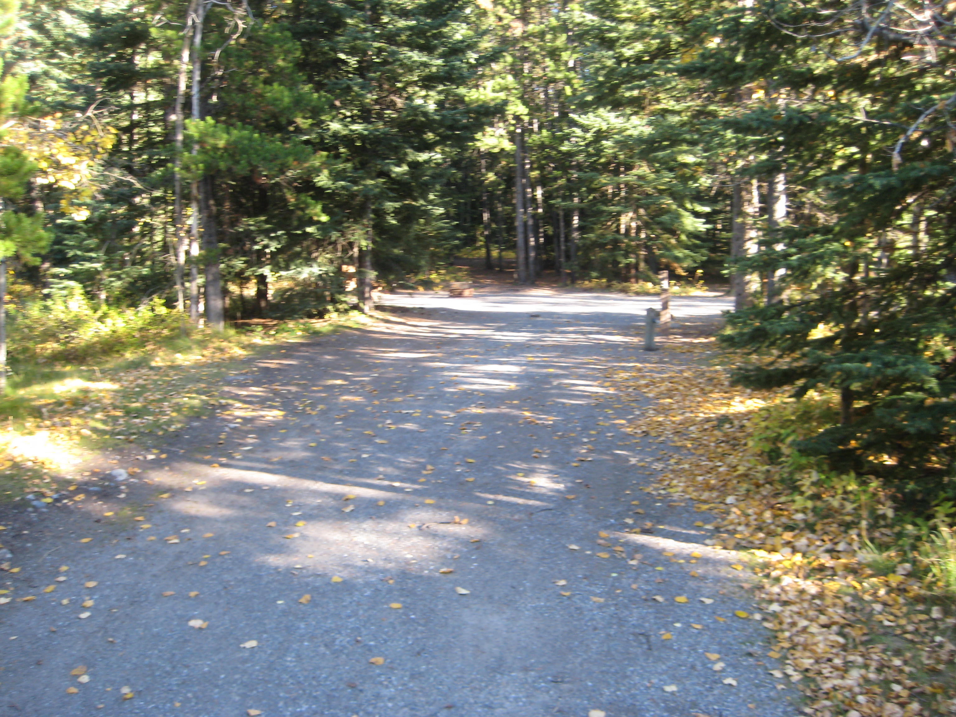 Campsite 9 in Loop E