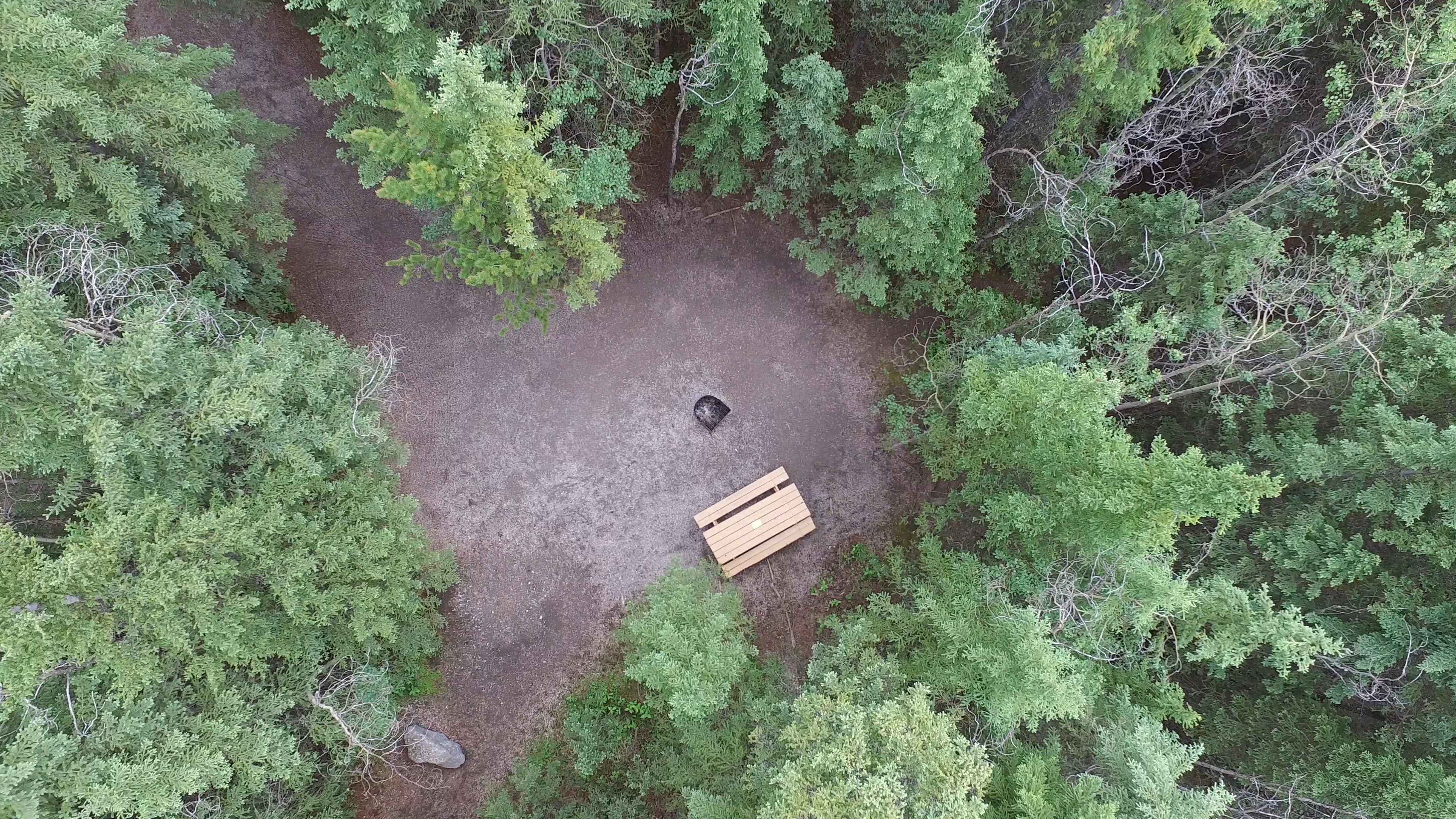 Campsite 10 in Loop F