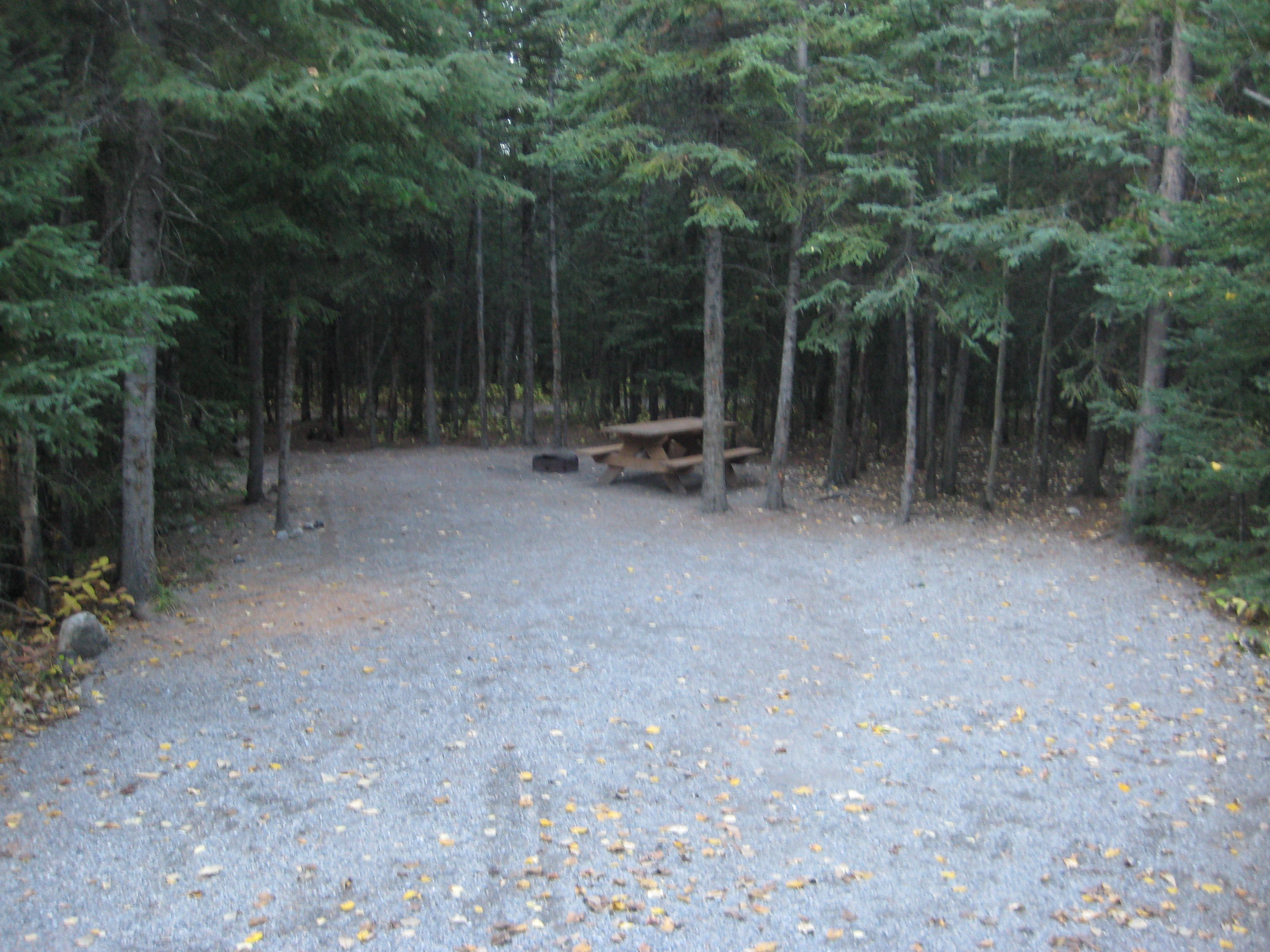 Campsite 11 in Loop F