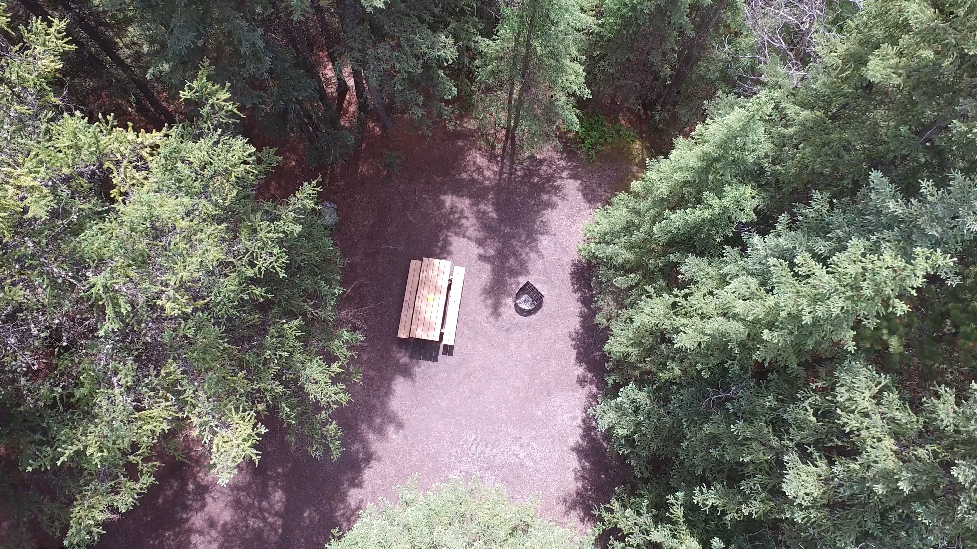 Campsite 13 in Loop F